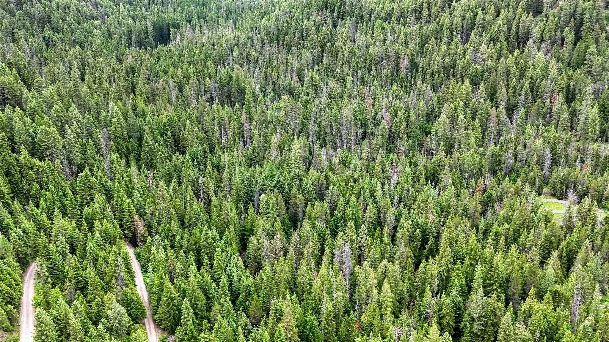 NKN Bead Lake - Lot 5 Rd - Photo 39