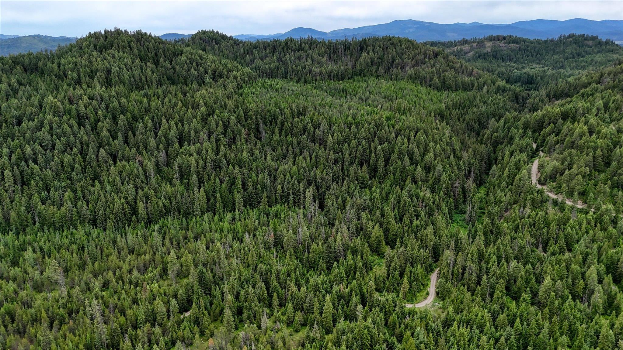 NKN Bead Lake - Lot 5 Rd - Photo 41