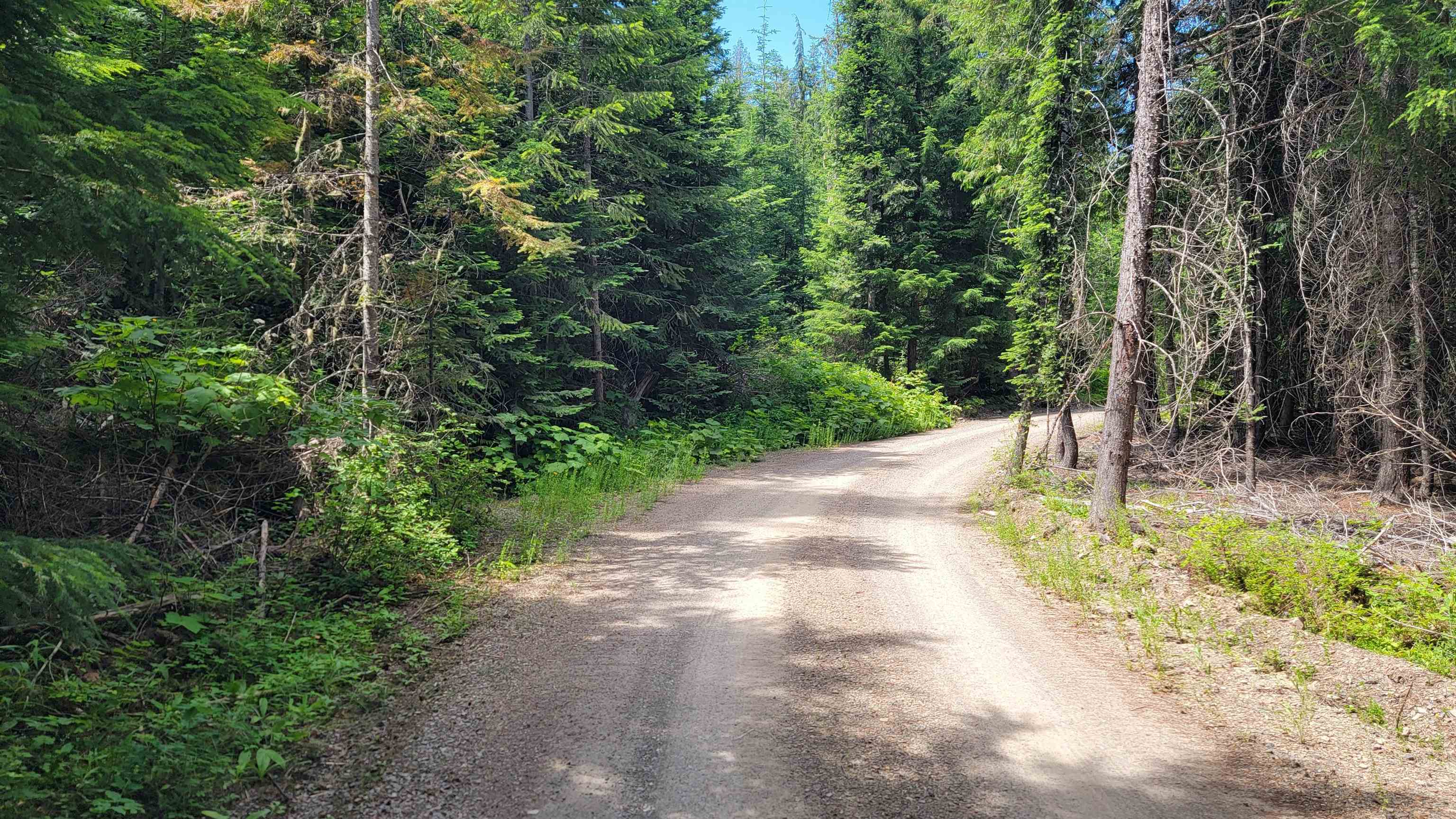 NKN Bead Lake - Lot 5 Rd - Photo 9
