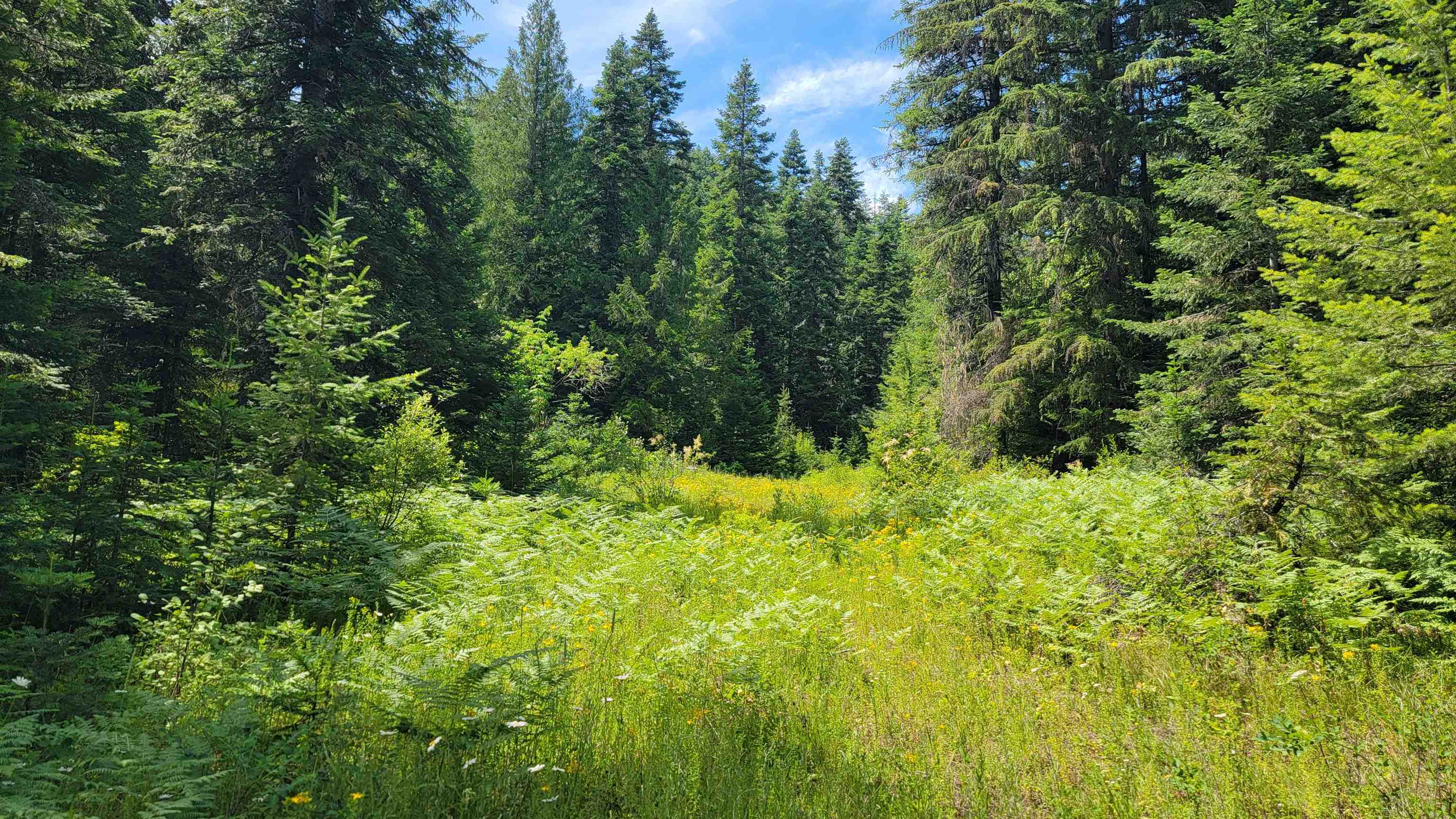NKN Bead Lake - Lot 5 Rd - Photo 13