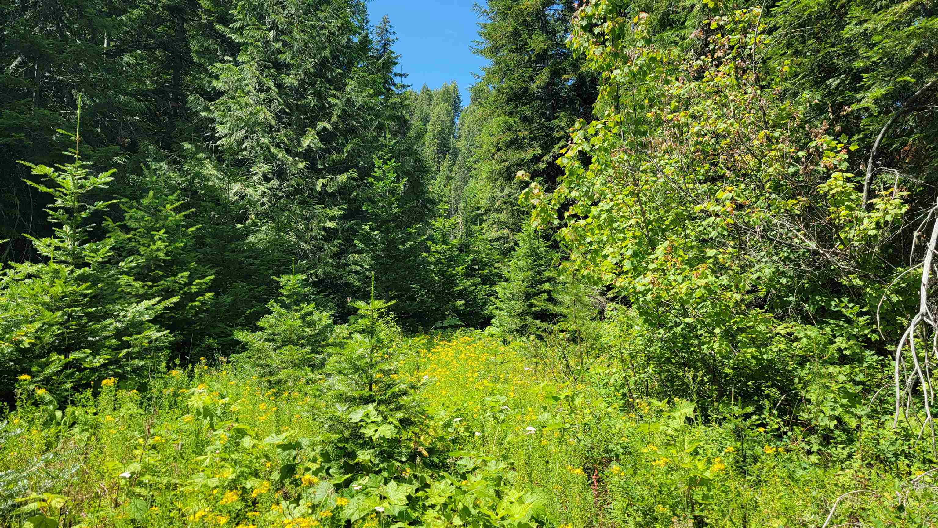 NKN Bead Lake - Lot 5 Rd - Photo 14