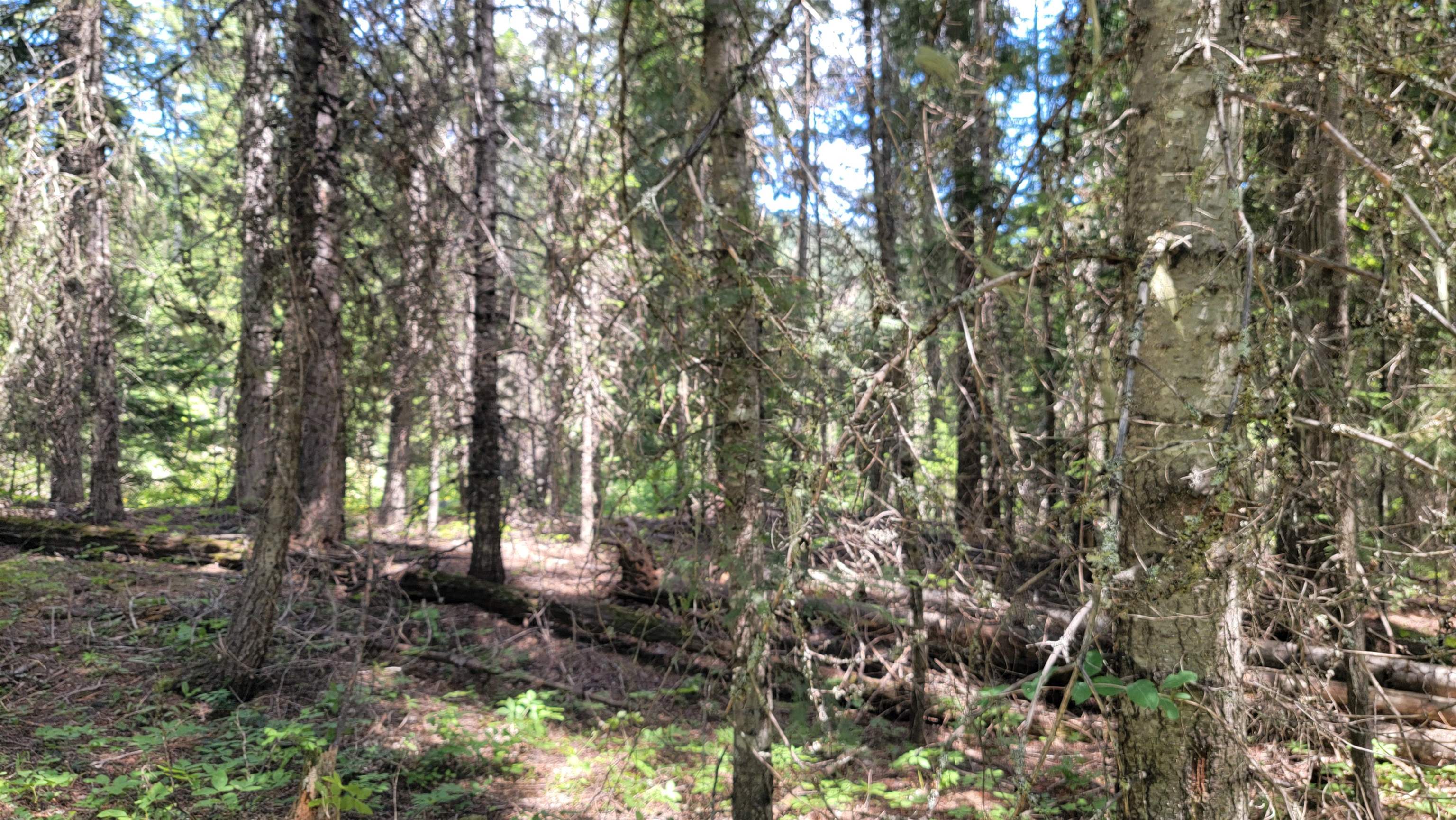 NKN Bead Lake - Lot 5 Rd - Photo 12