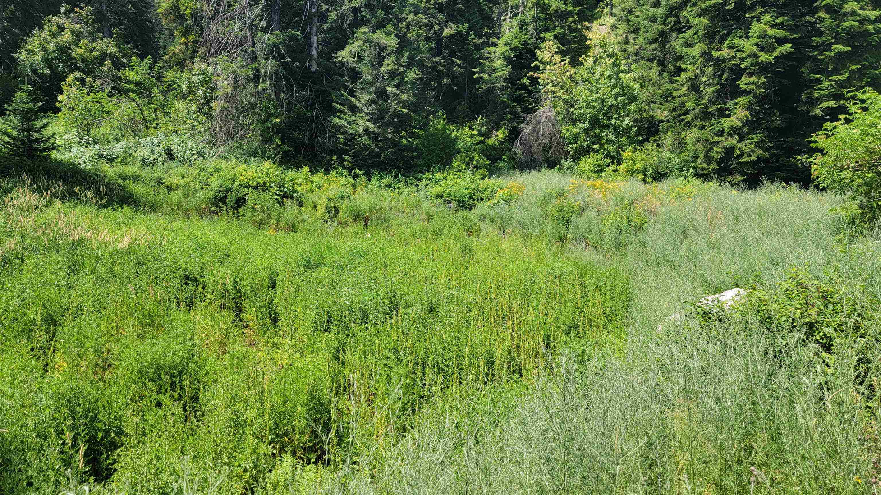 NKN Bead Lake - Lot 5 Rd - Photo 15