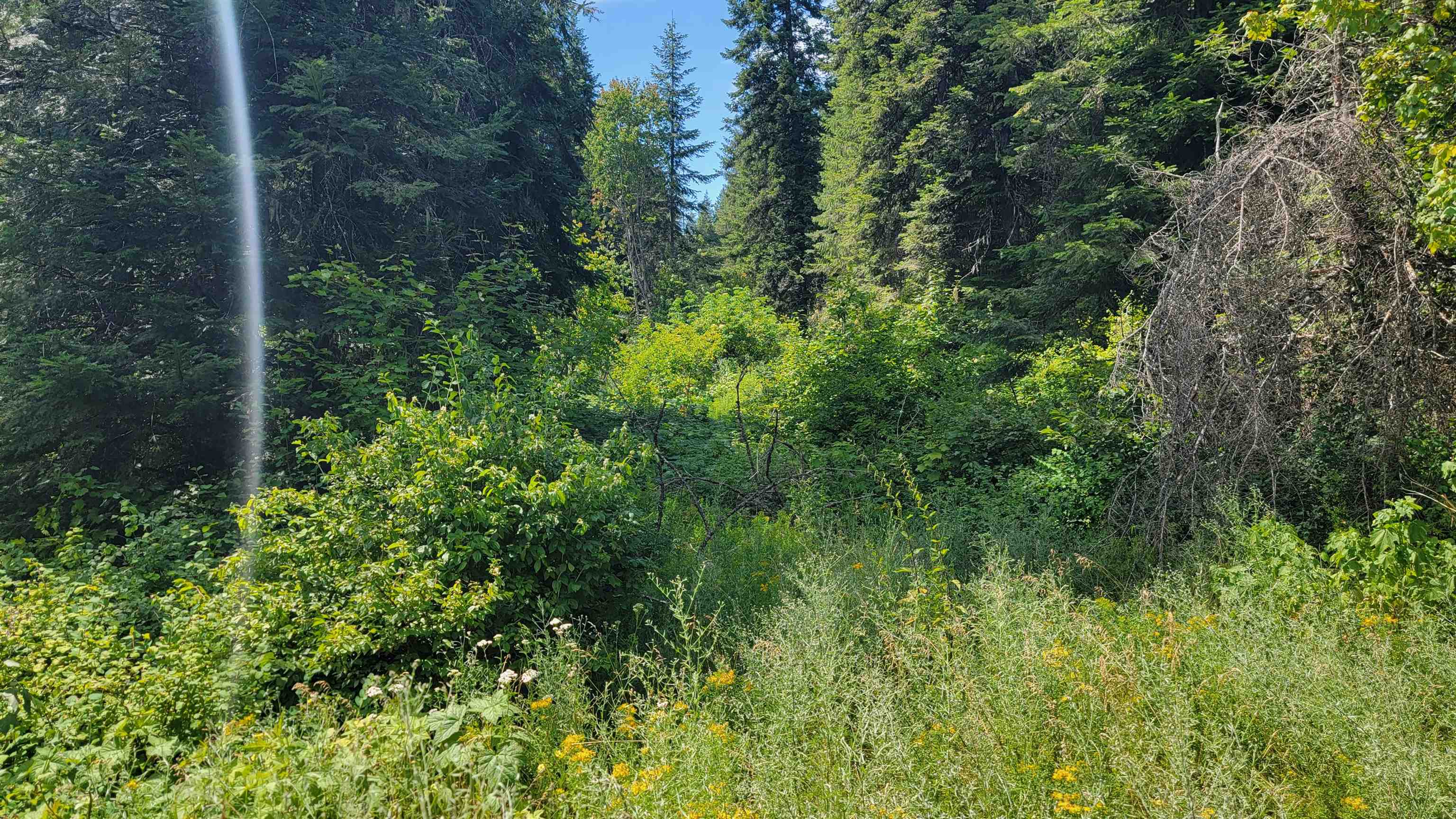 NKN Bead Lake - Lot 5 Rd - Photo 16