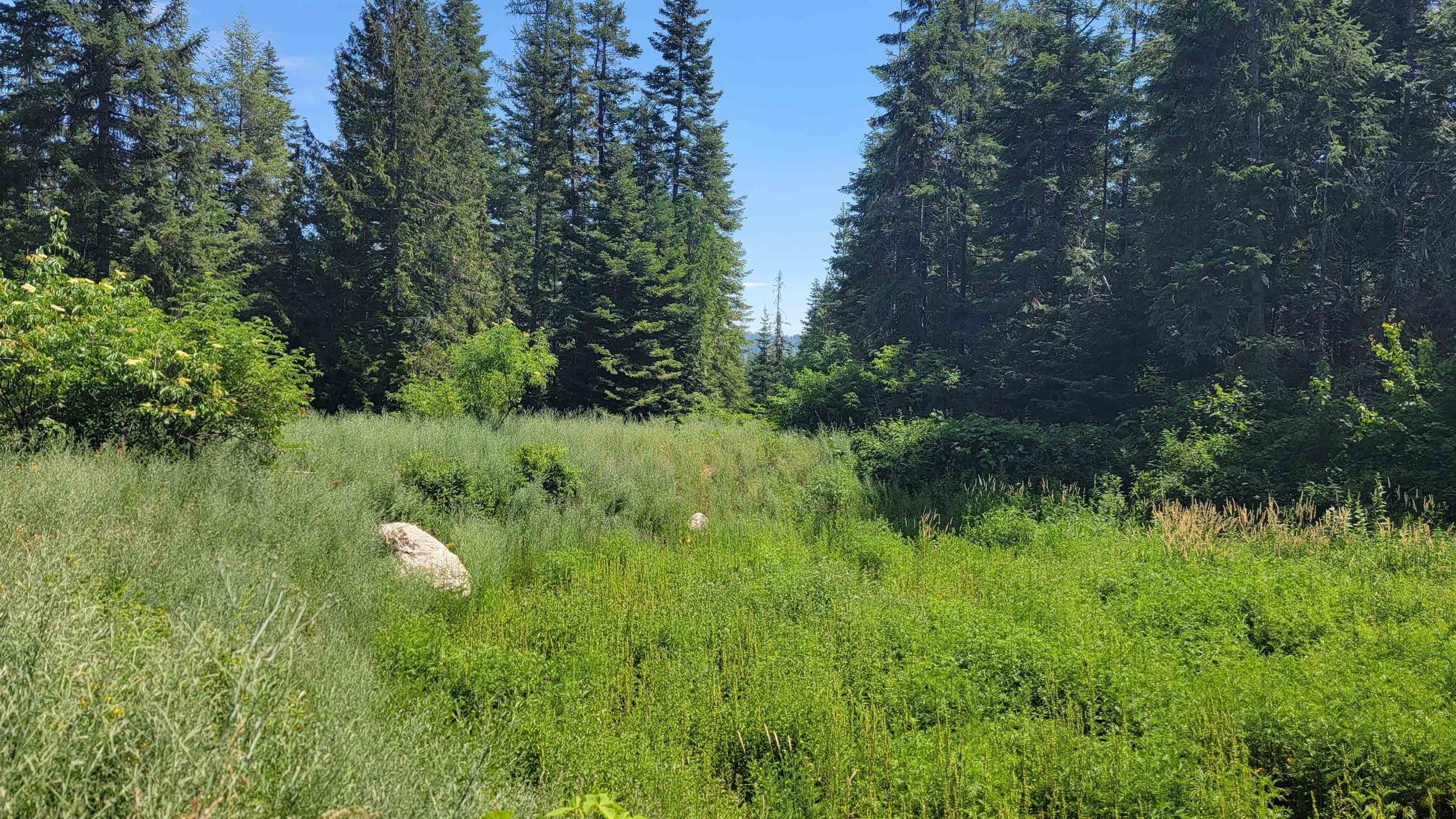 NKN Bead Lake - Lot 5 Rd - Photo 17