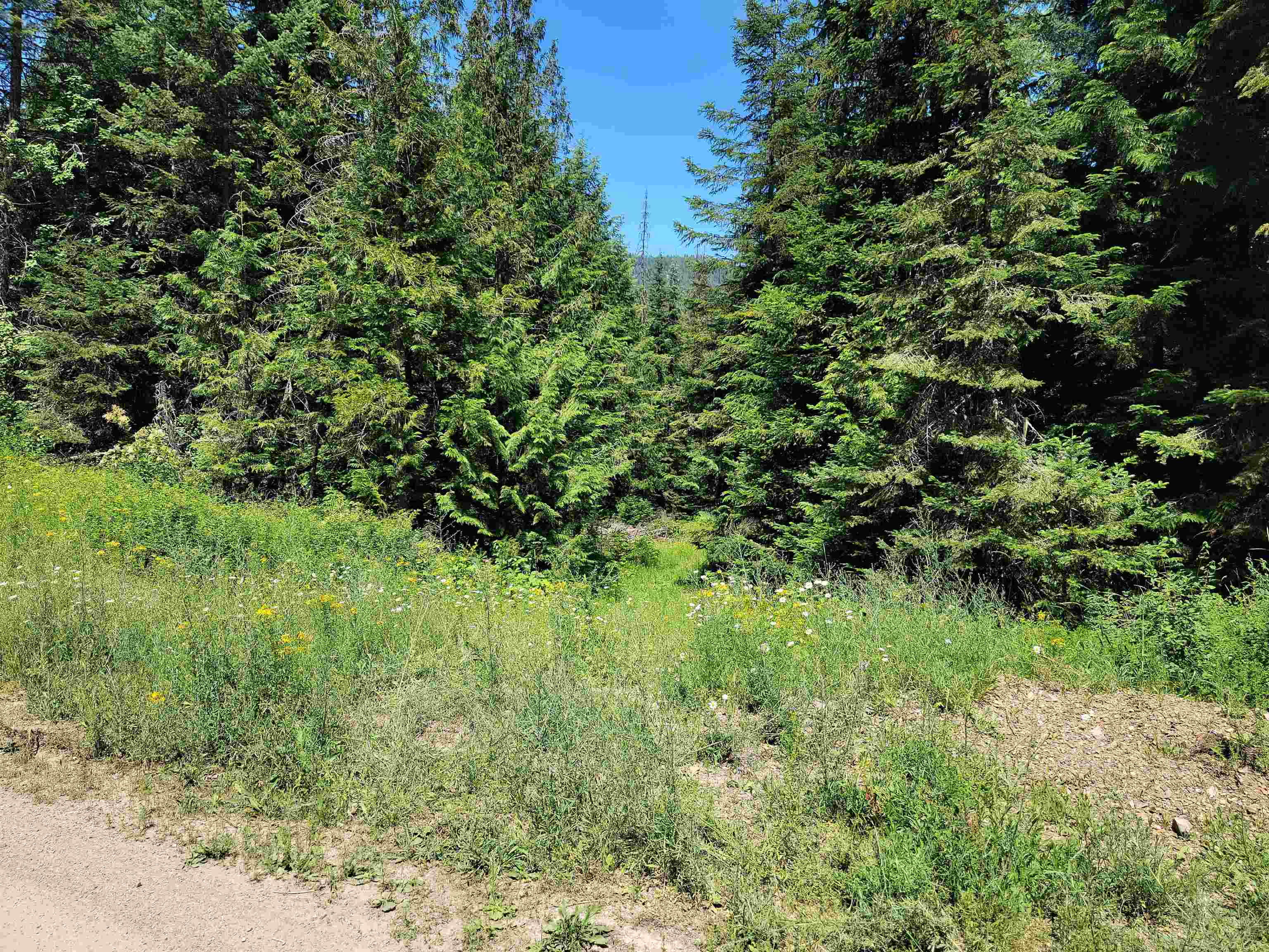 NKN Bead Lake - Lot 5 Rd - Photo 23