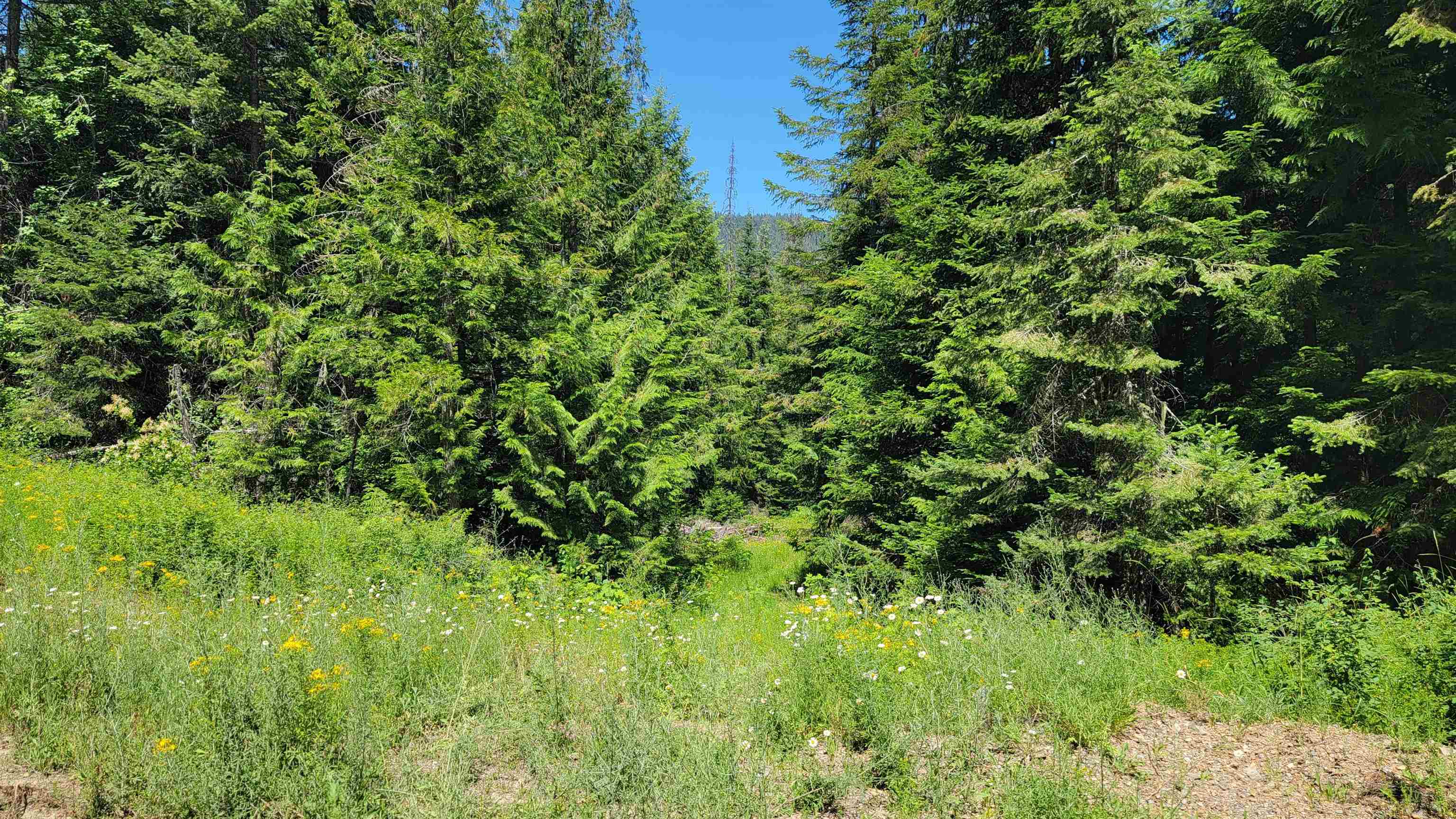 NKN Bead Lake - Lot 5 Rd - Photo 18