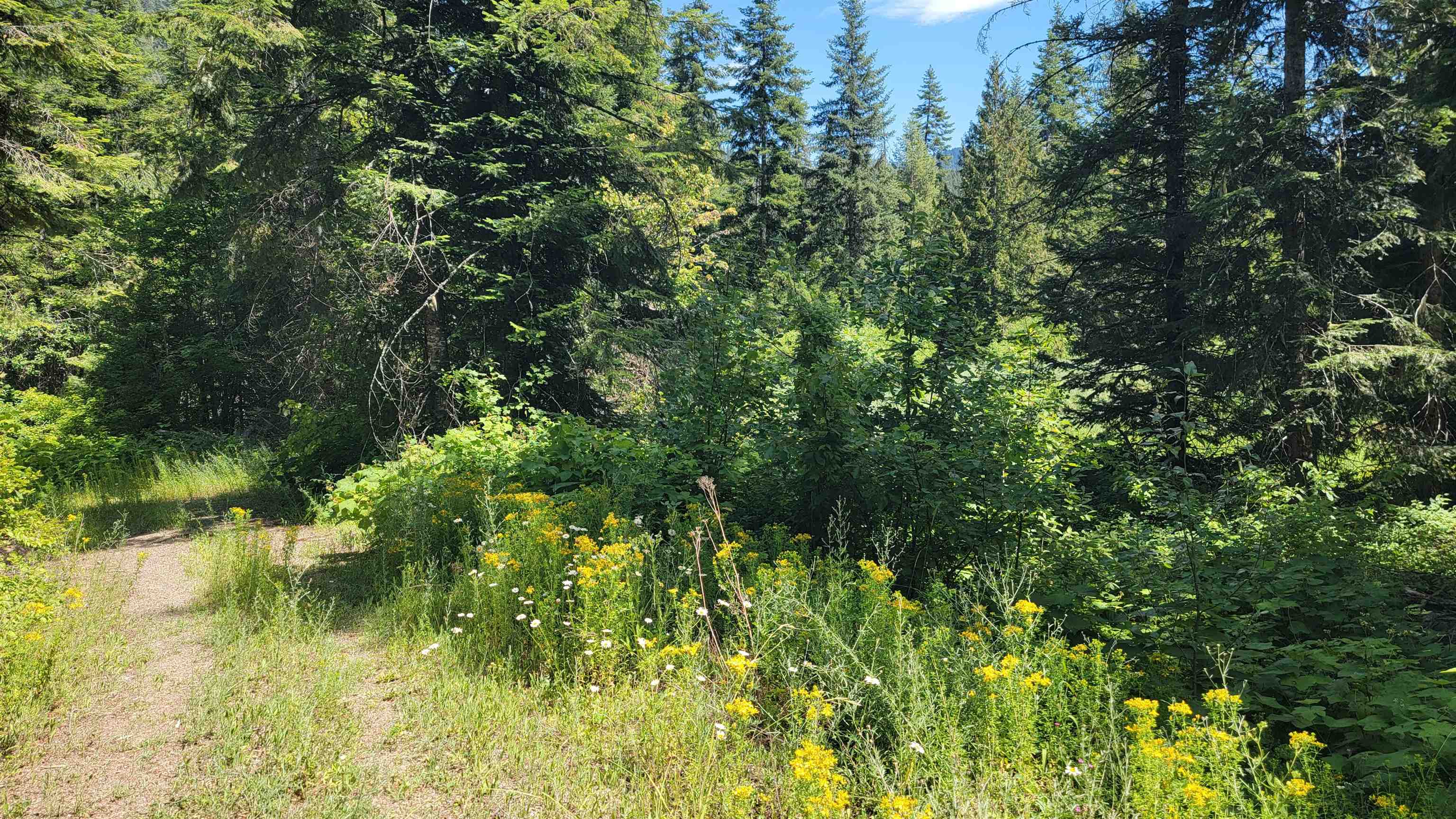 NKN Bead Lake - Lot 5 Rd - Photo 19