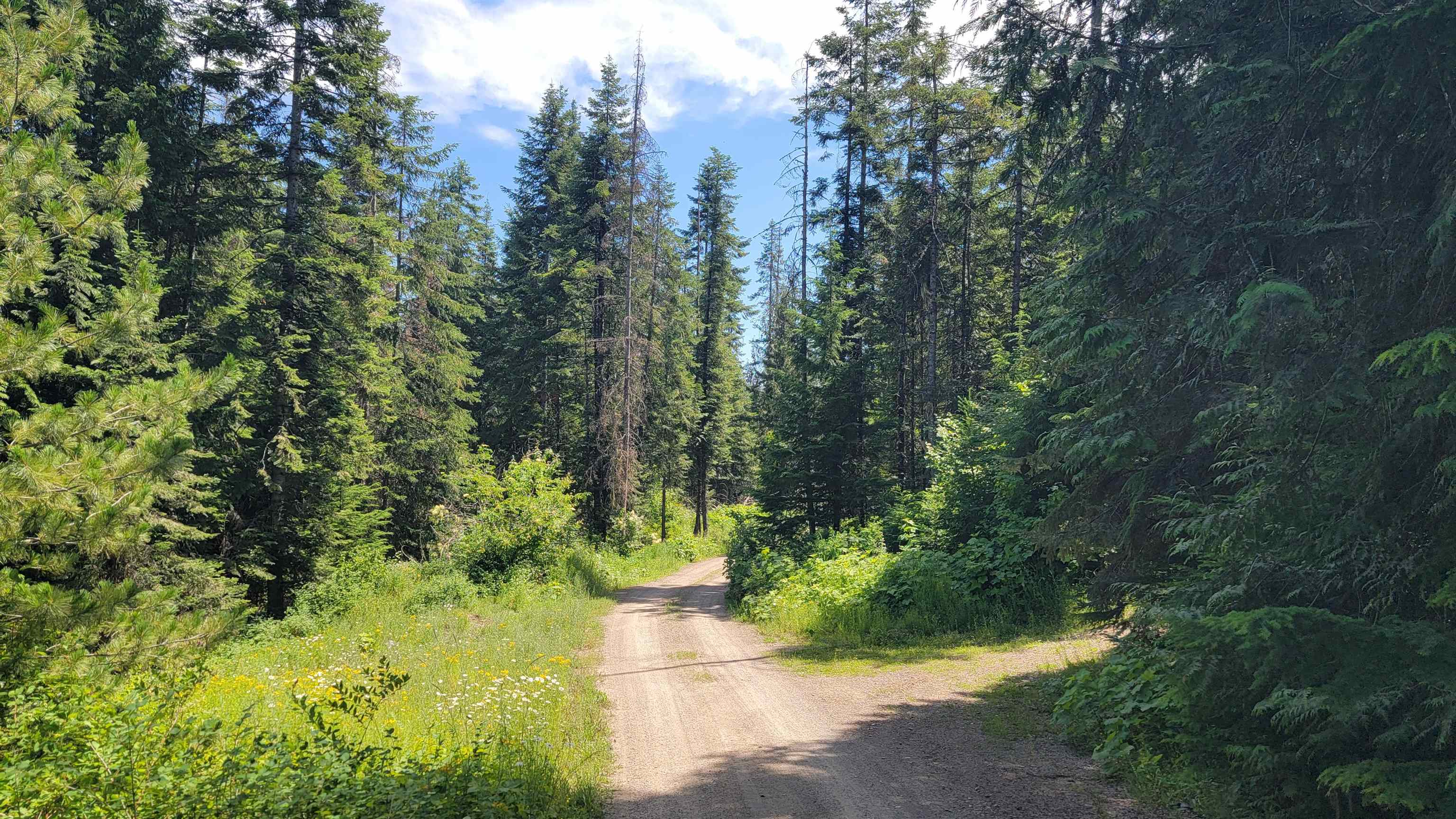 NKN Bead Lake - Lot 5 Rd - Photo 21