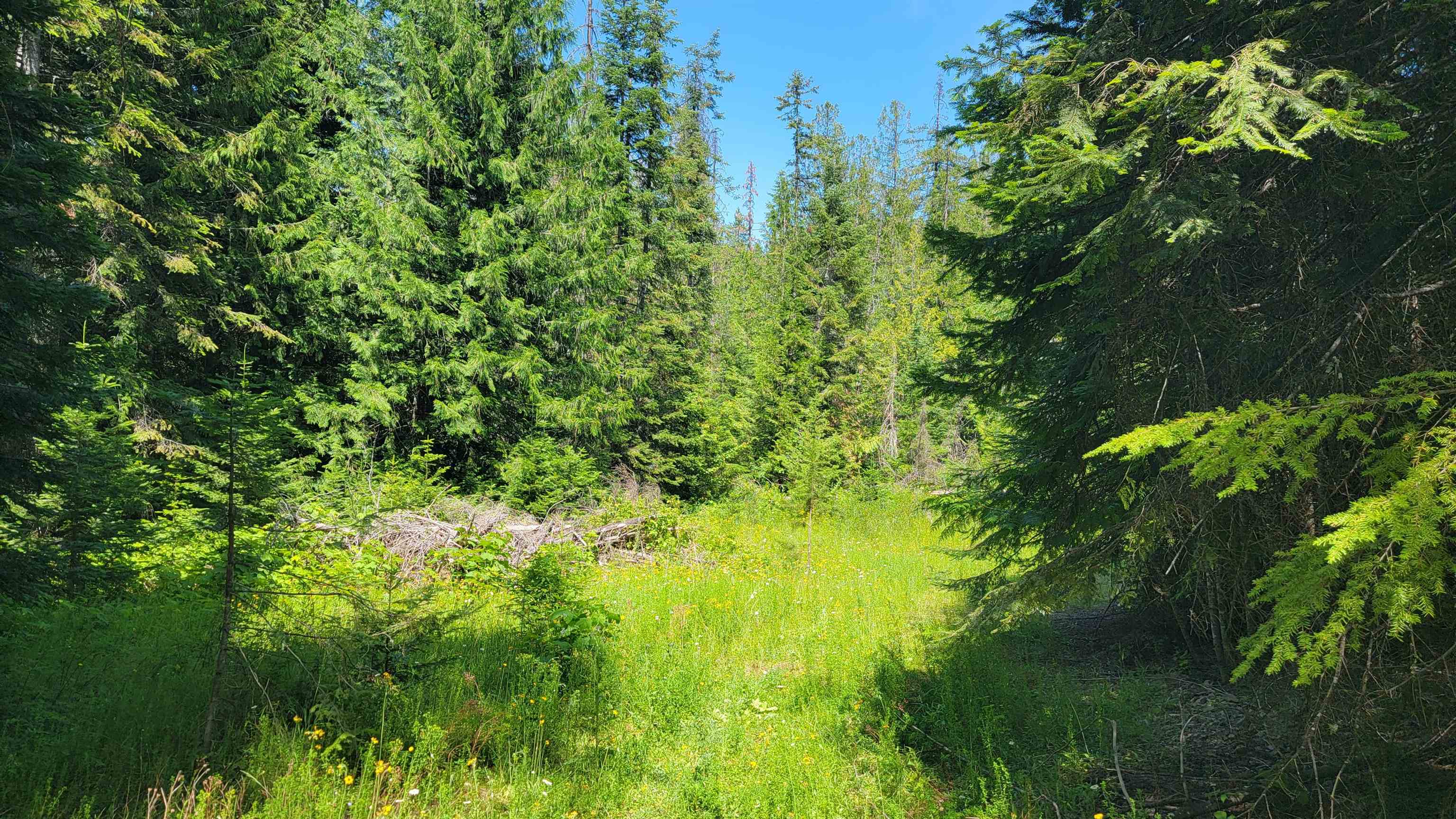 NKN Bead Lake - Lot 5 Rd - Photo 22