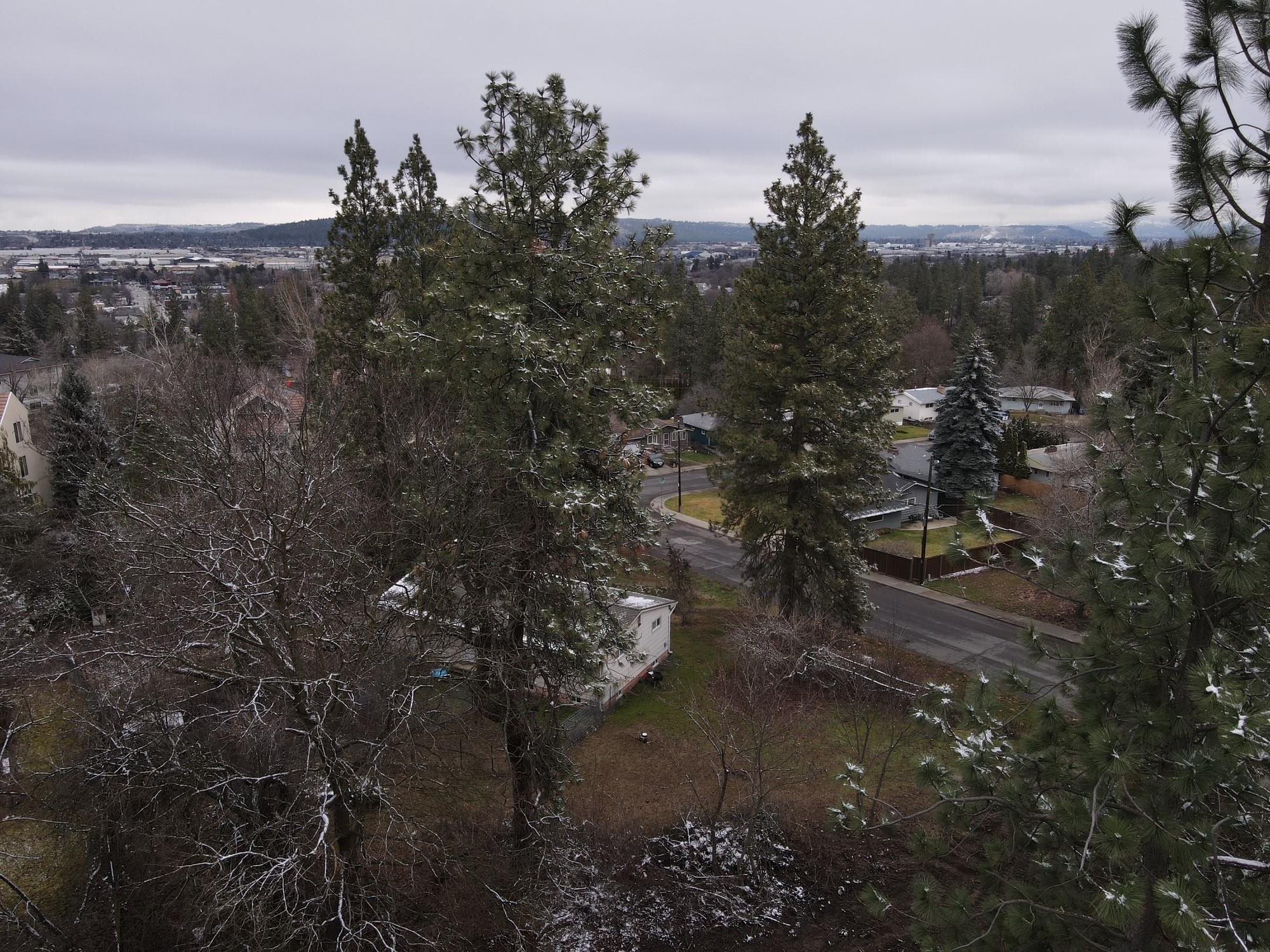 3271 E Williamson Ct - Photo 8
