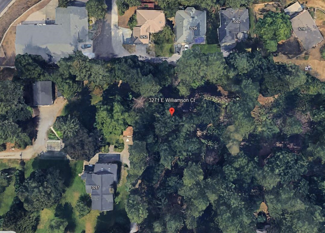 3271 E Williamson Ct - Photo 9