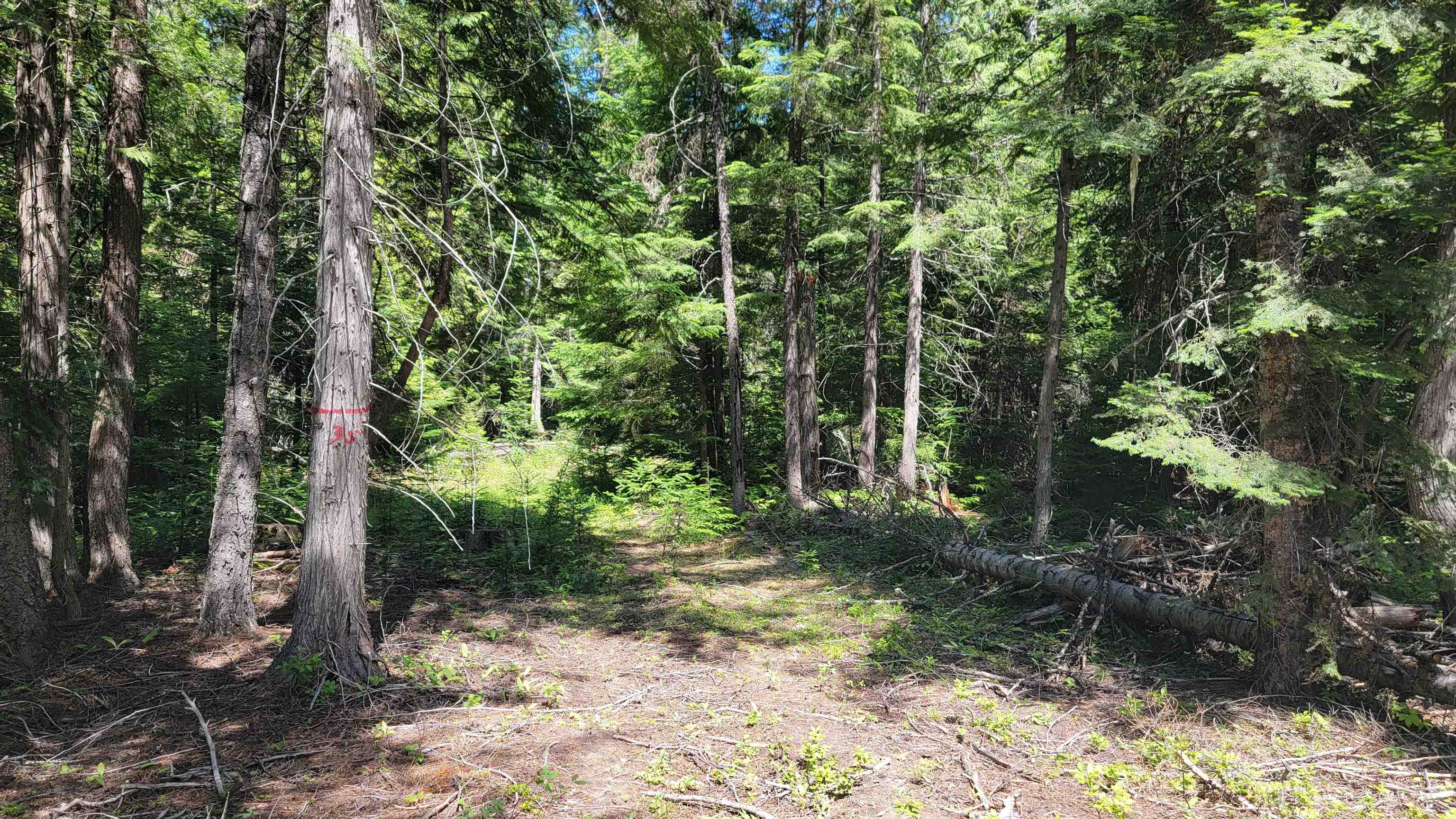 NKN Bead Lake - Lot 5 Rd - Photo 44