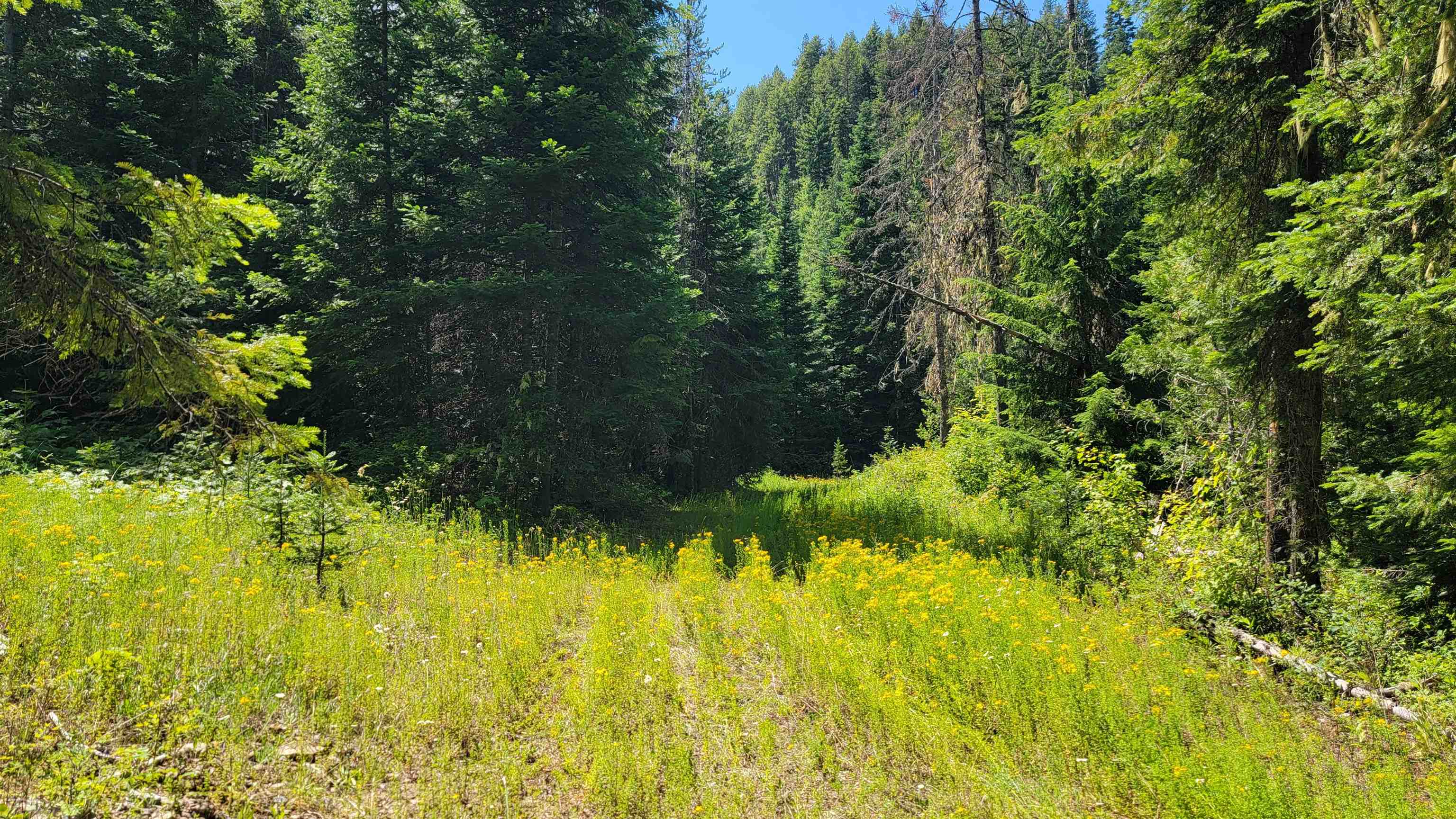 NKN Bead Lake - Lot 5 Rd - Photo 27