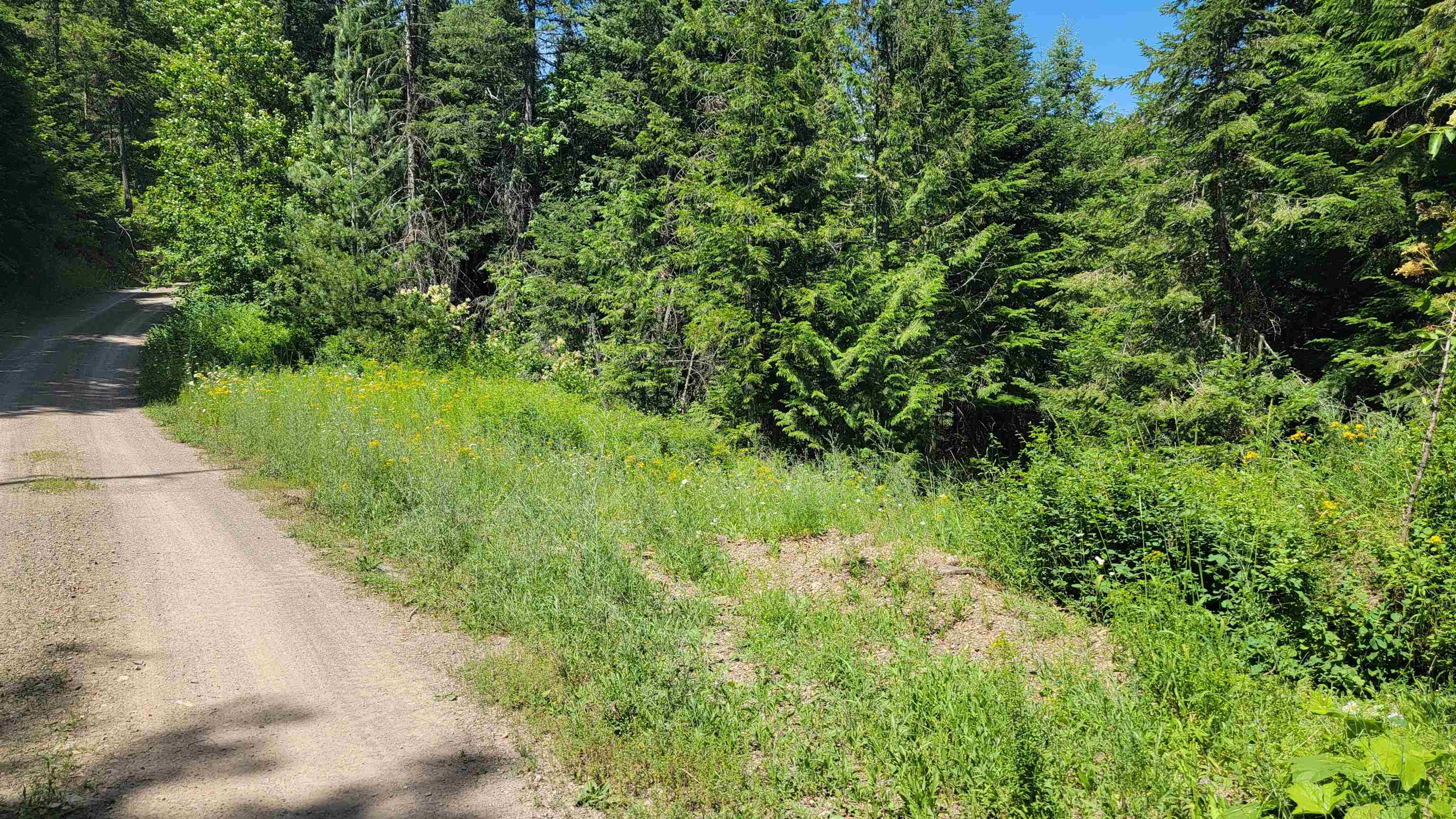 NKN Bead Lake - Lot 5 Rd - Photo 24