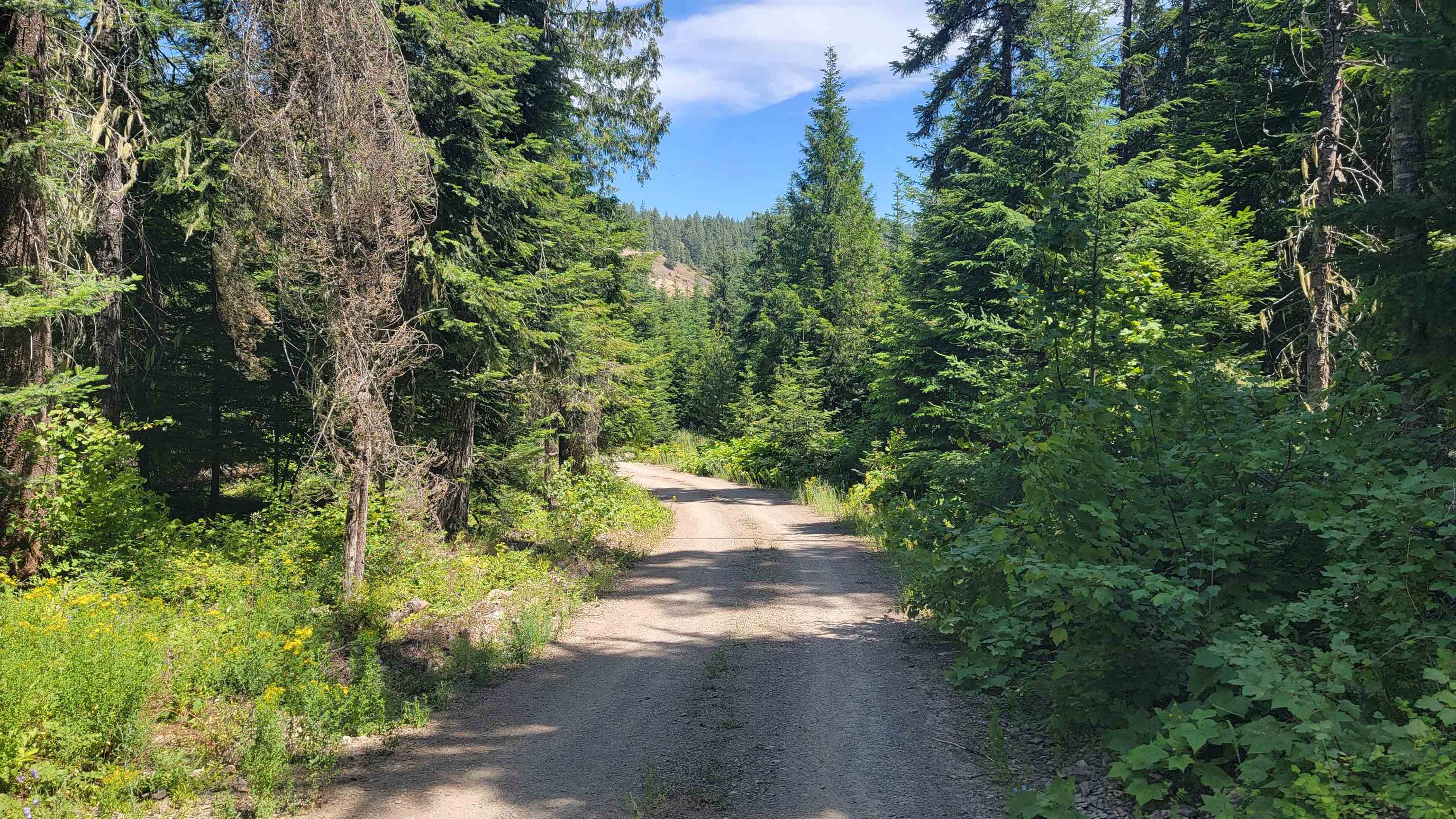 NKN Bead Lake - Lot 5 Rd - Photo 20