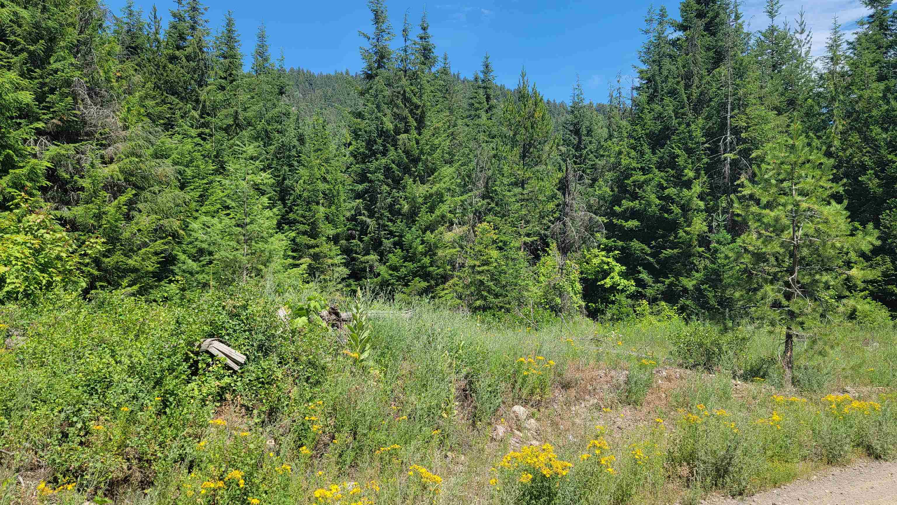 NKN Bead Lake - Lot 5 Rd - Photo 26