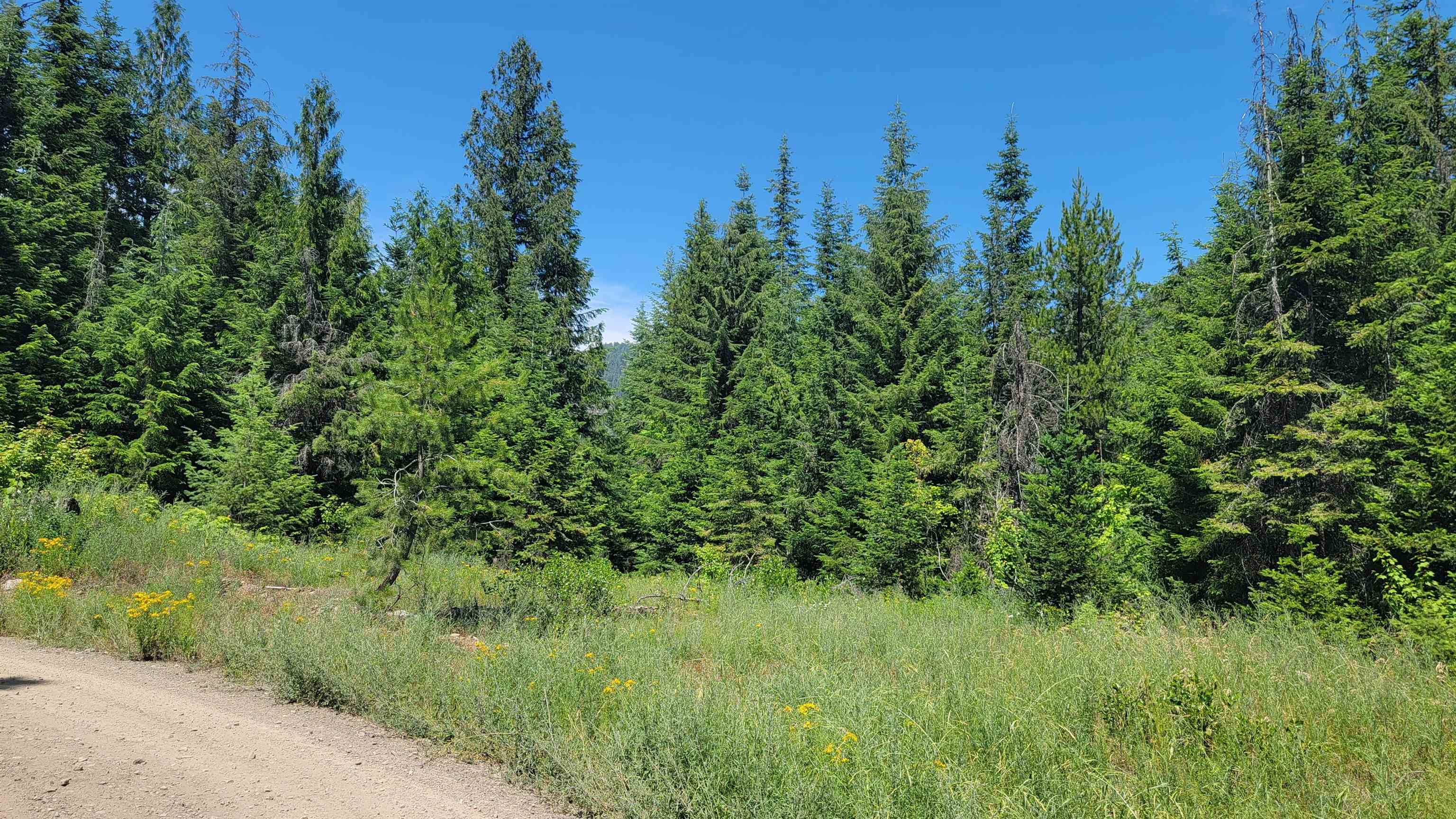 NKN Bead Lake - Lot 5 Rd - Photo 25