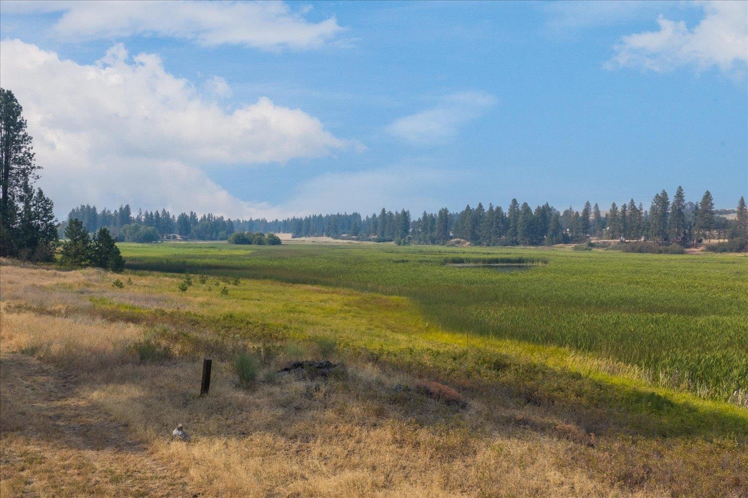 12711 S Murphy Rd - Photo 44