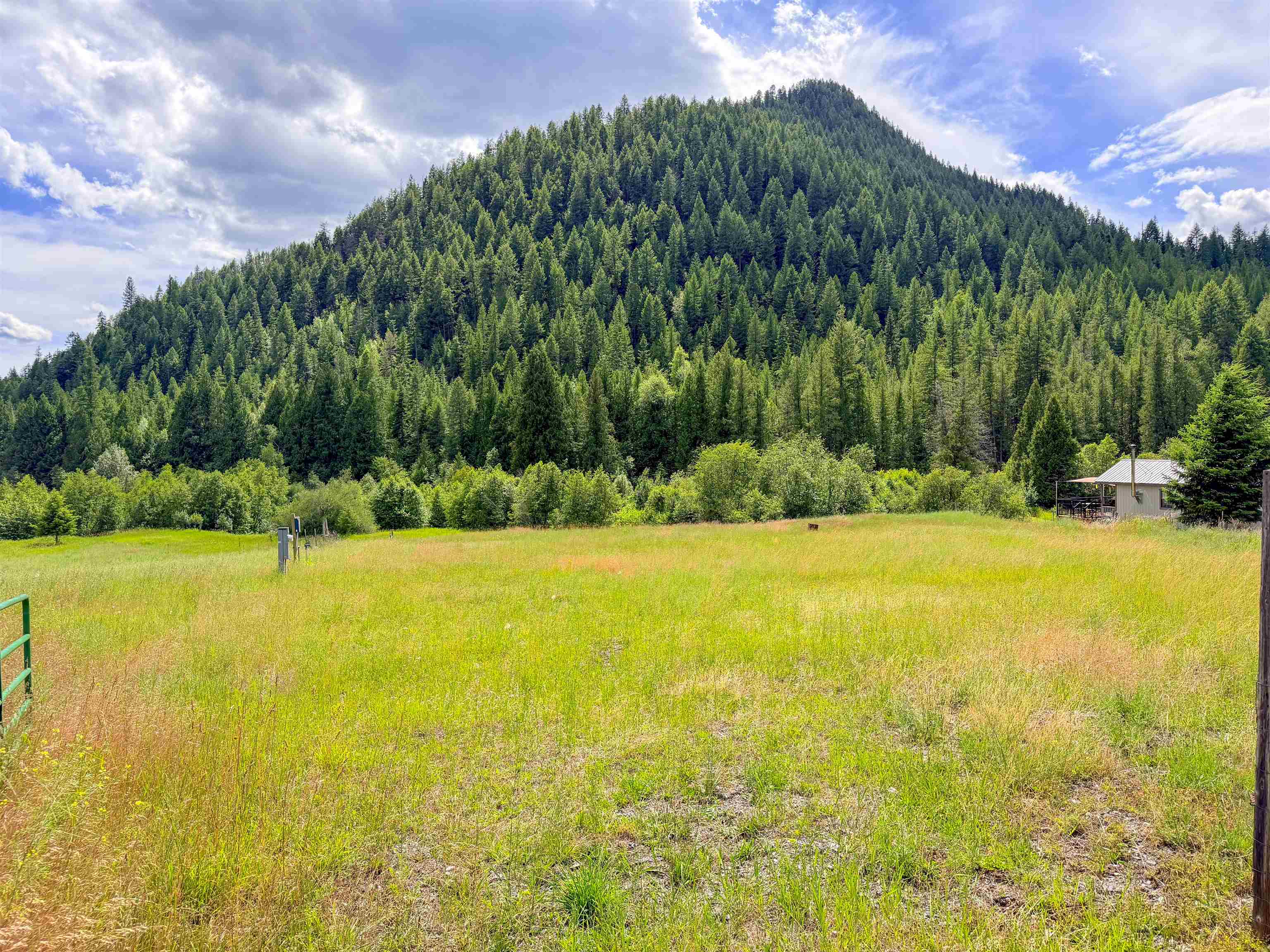 3159 Heather Ln - Photo 4