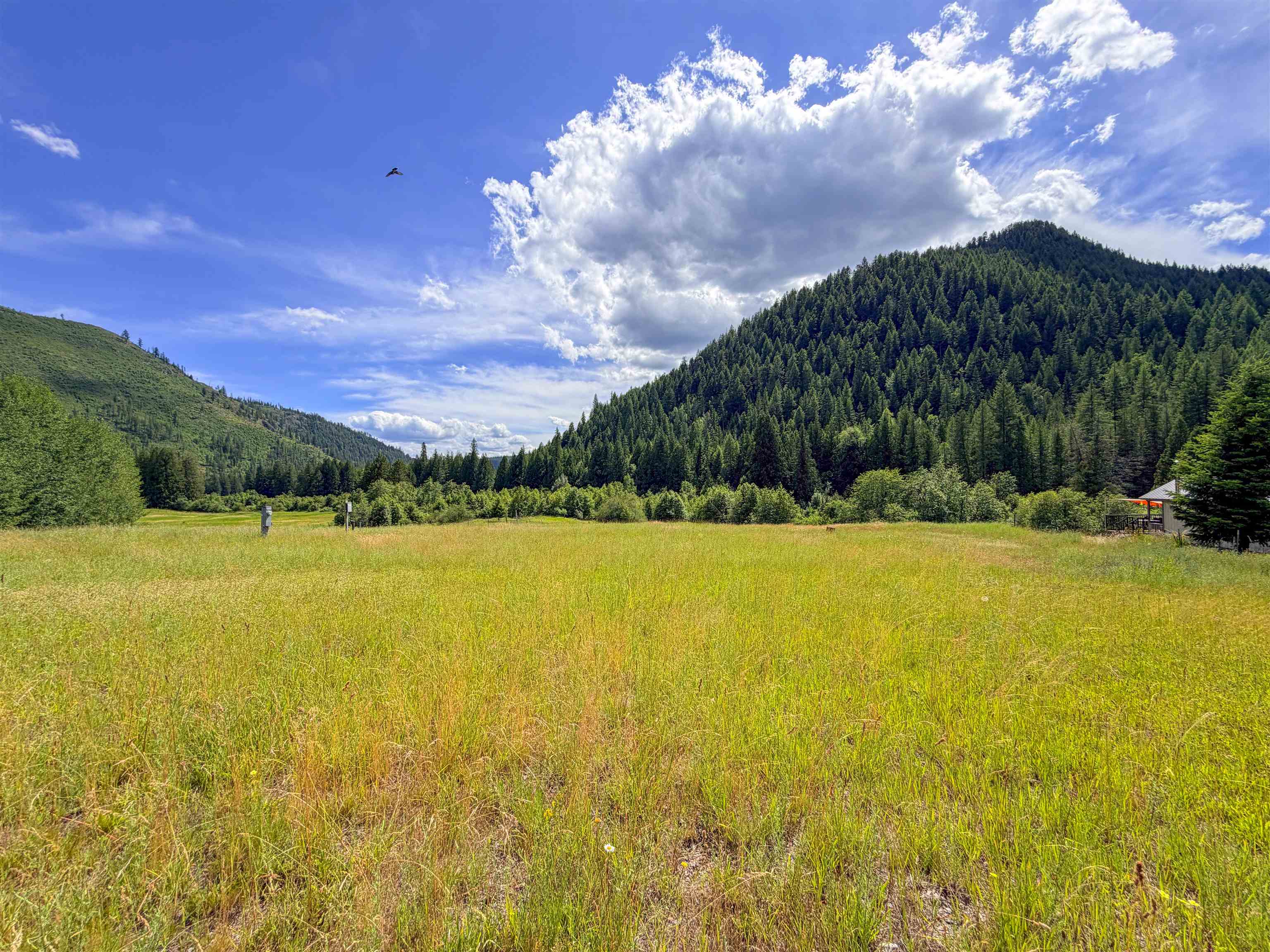 3159 Heather Ln - Photo 6