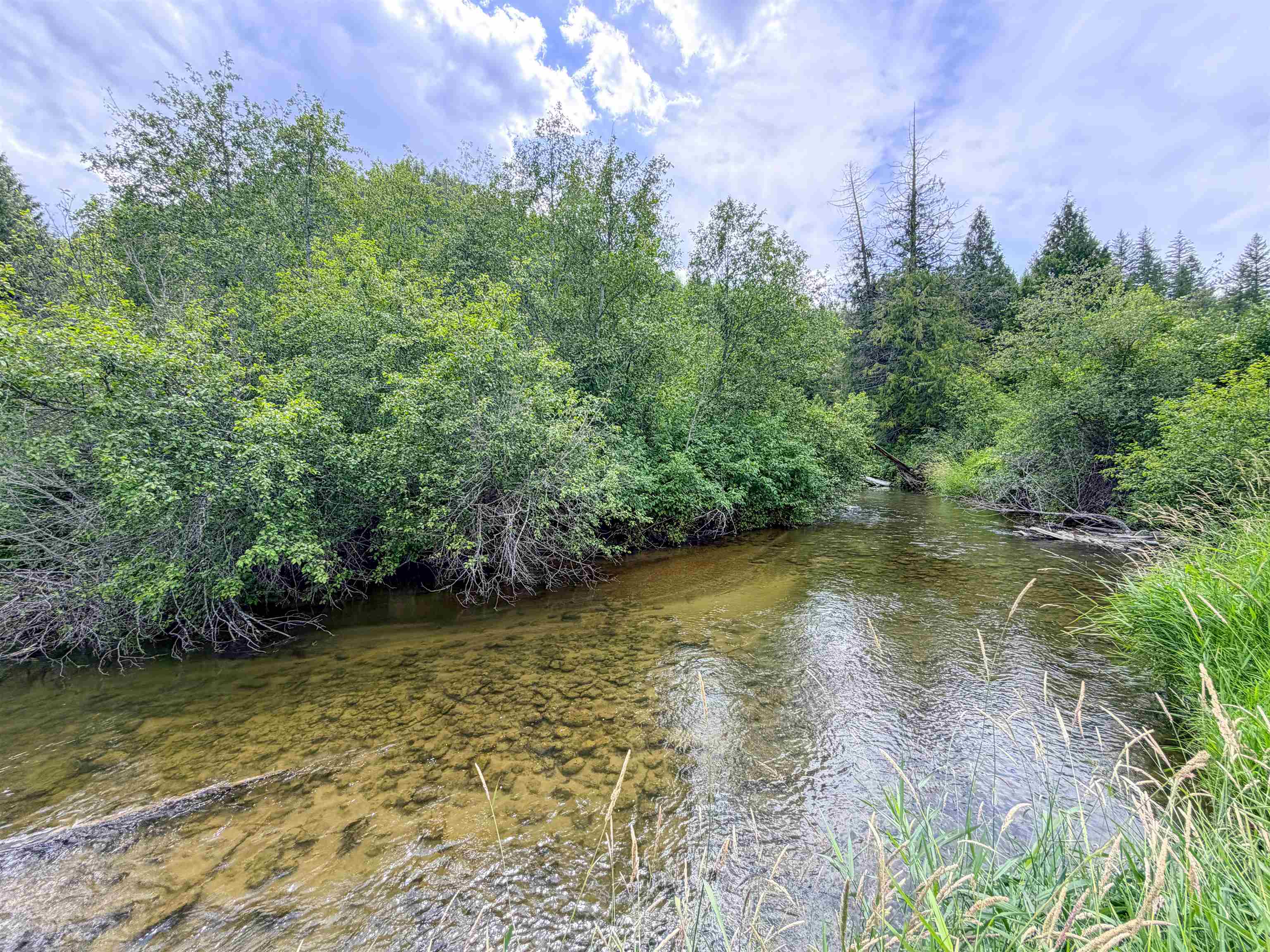 3159 Heather Ln - Photo 8
