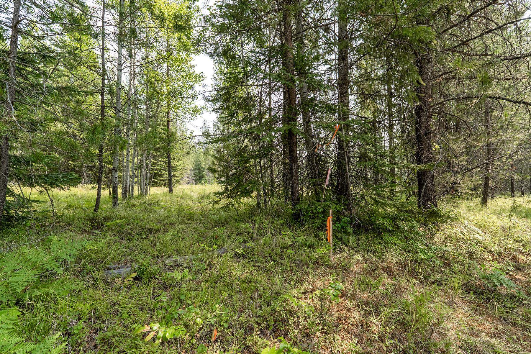 6833 Coyote Trail Lot B & C - Photo 14