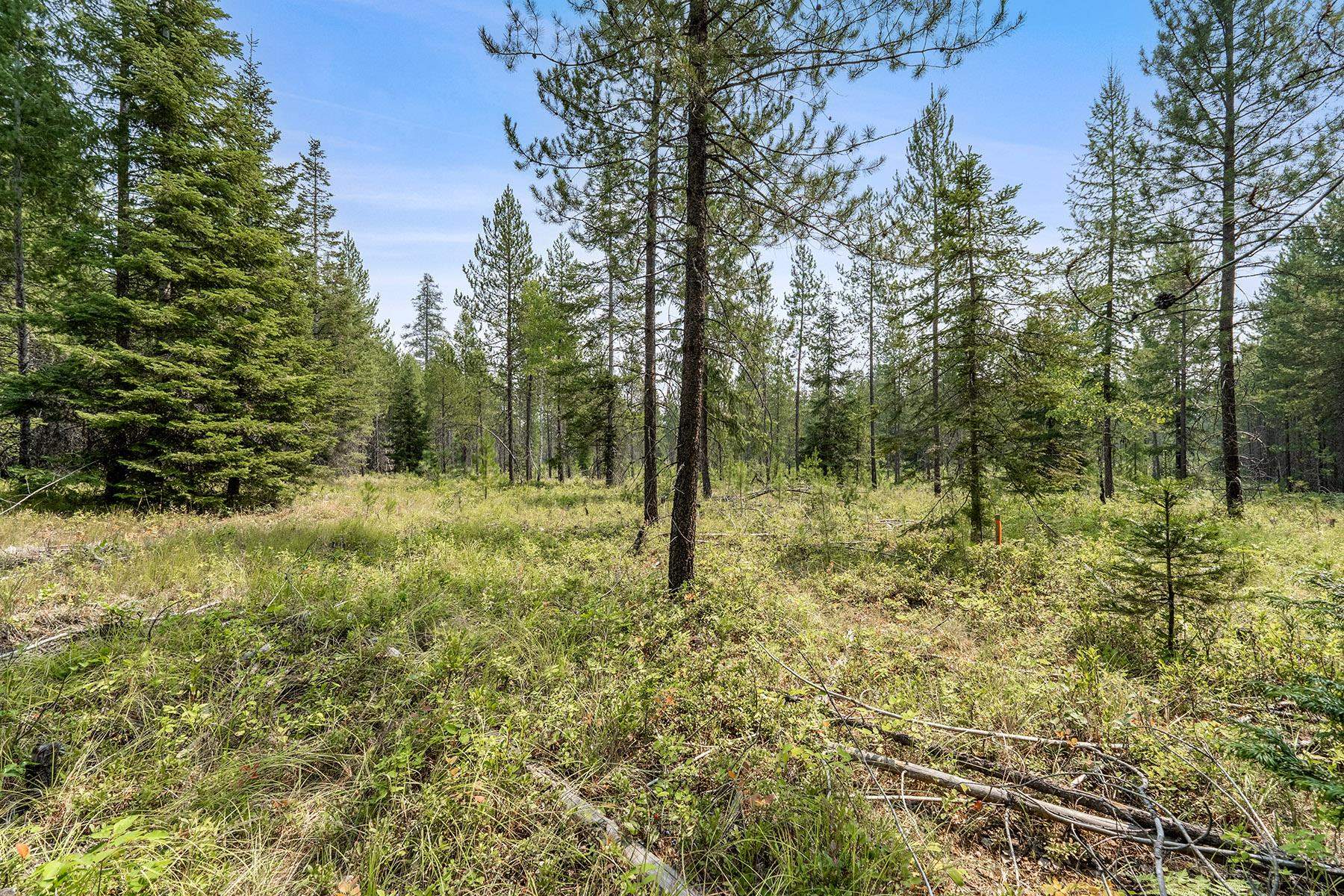 6833 Coyote Trail Lot B & C - Photo 15