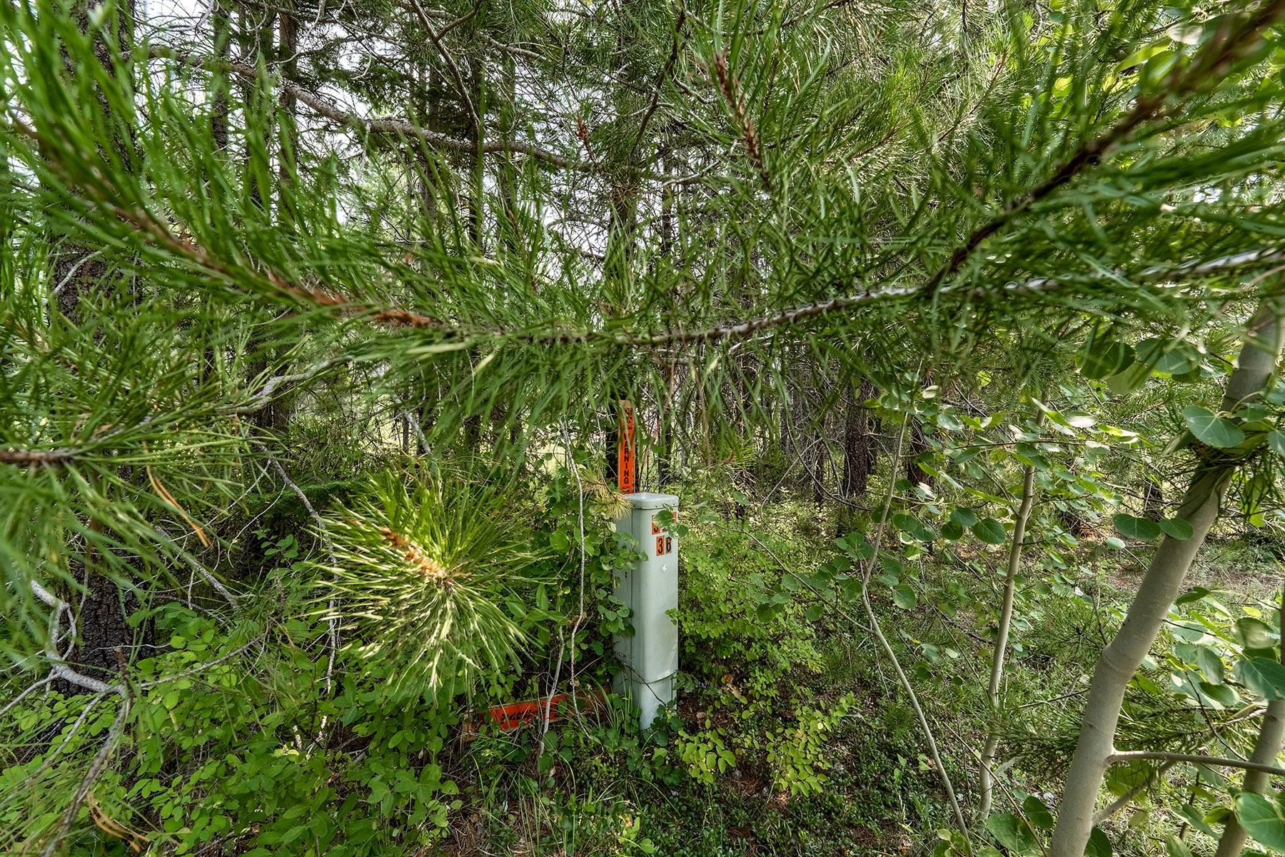 6833 Coyote Trail Lot B & C - Photo 16