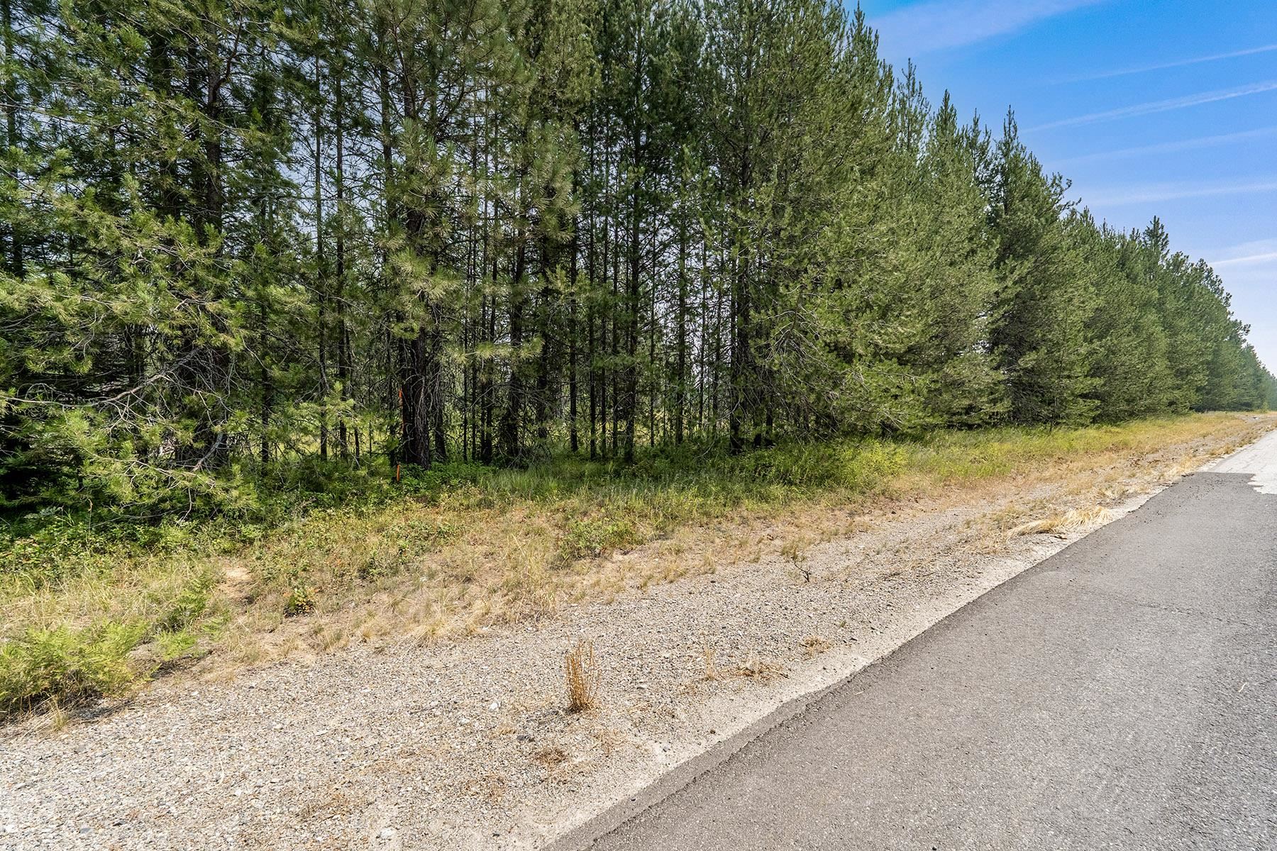 6833 Coyote Trail Lot B & C - Photo 17