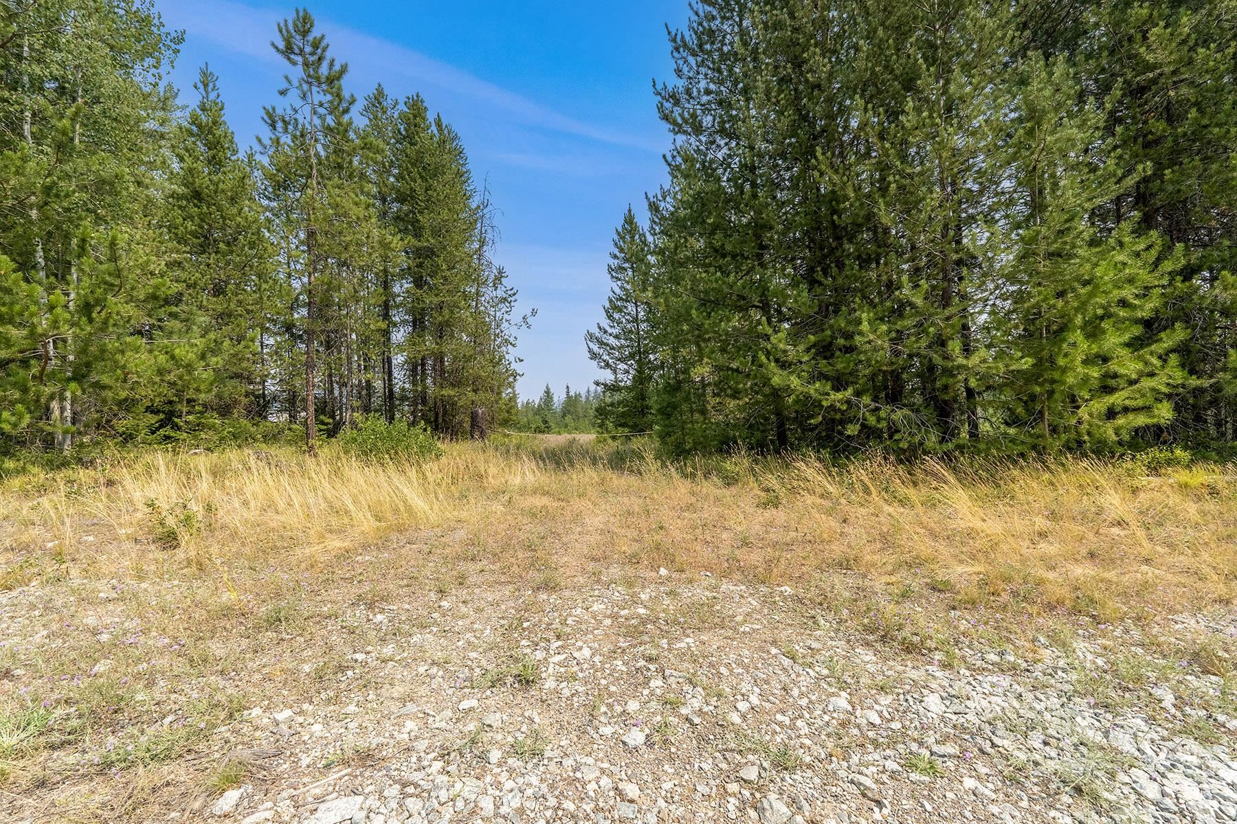 6833 Coyote Trail Lot B & C - Photo 22