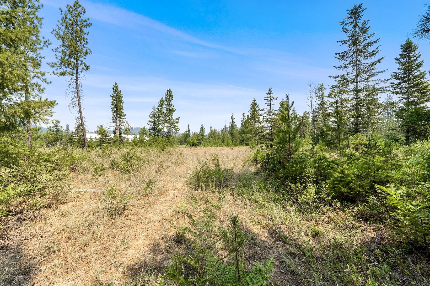 6833 Coyote Trail Lot B & C - Photo 24