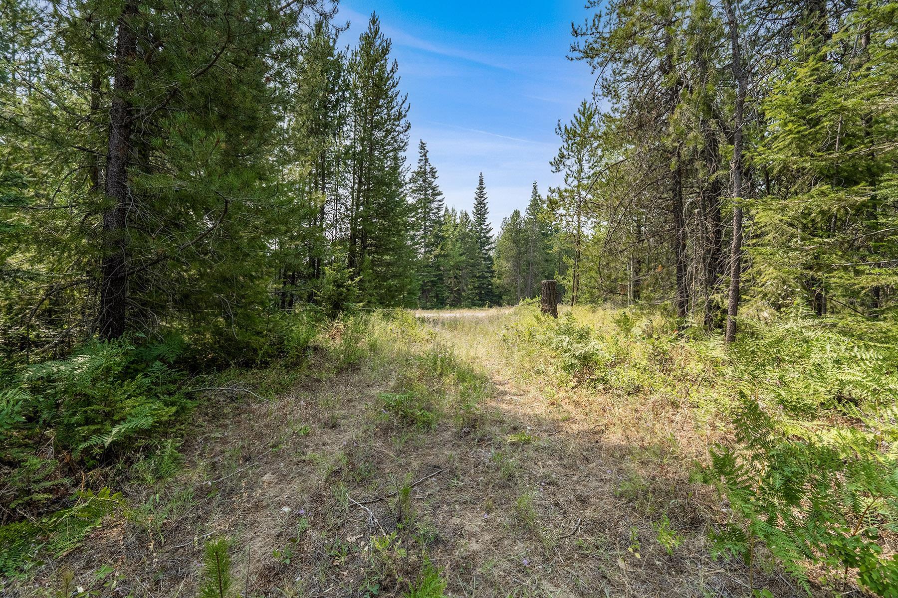 6833 Coyote Trail Lot B & C - Photo 25