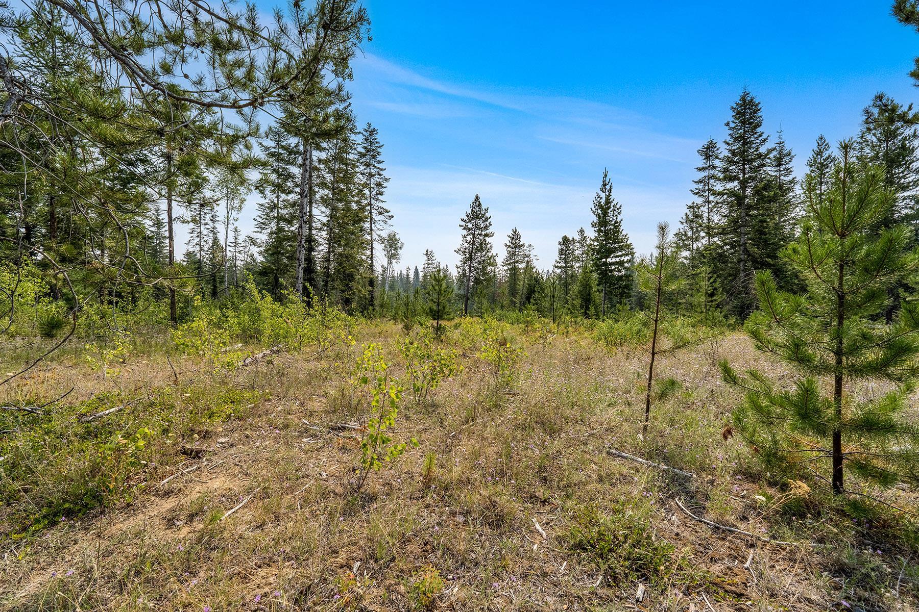 6833 Coyote Trail Lot B & C - Photo 26