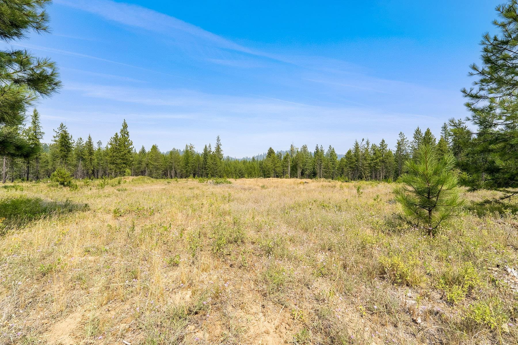 6833 Coyote Trail Lot B & C - Photo 27