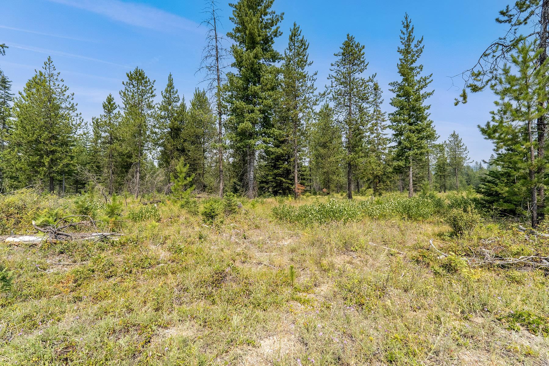 6833 Coyote Trail Lot B & C - Photo 28