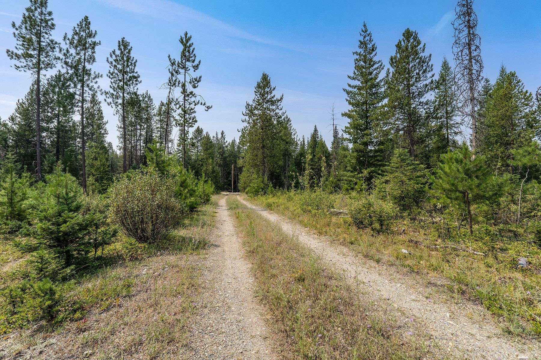 6833 Coyote Trail Lot B & C - Photo 29