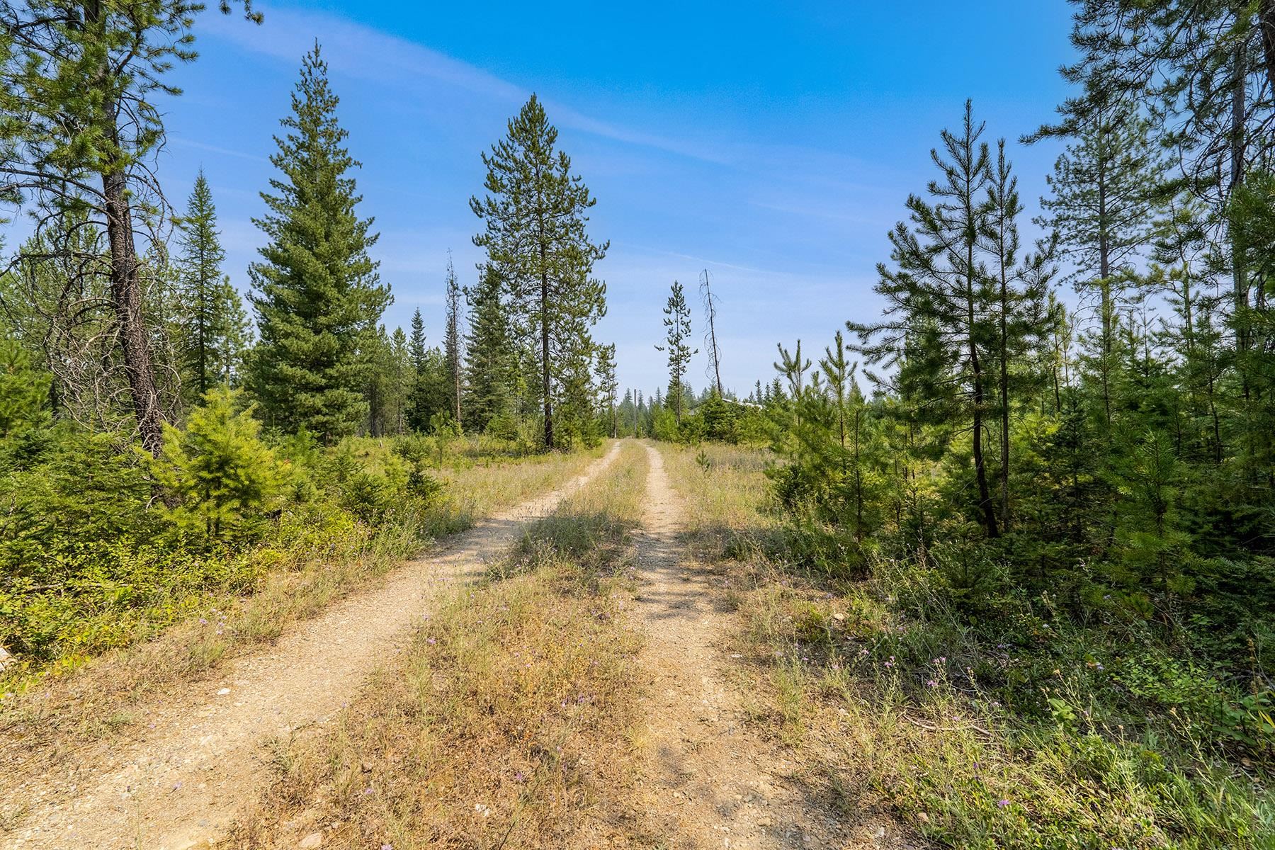 6833 Coyote Trail Lot B & C - Photo 30