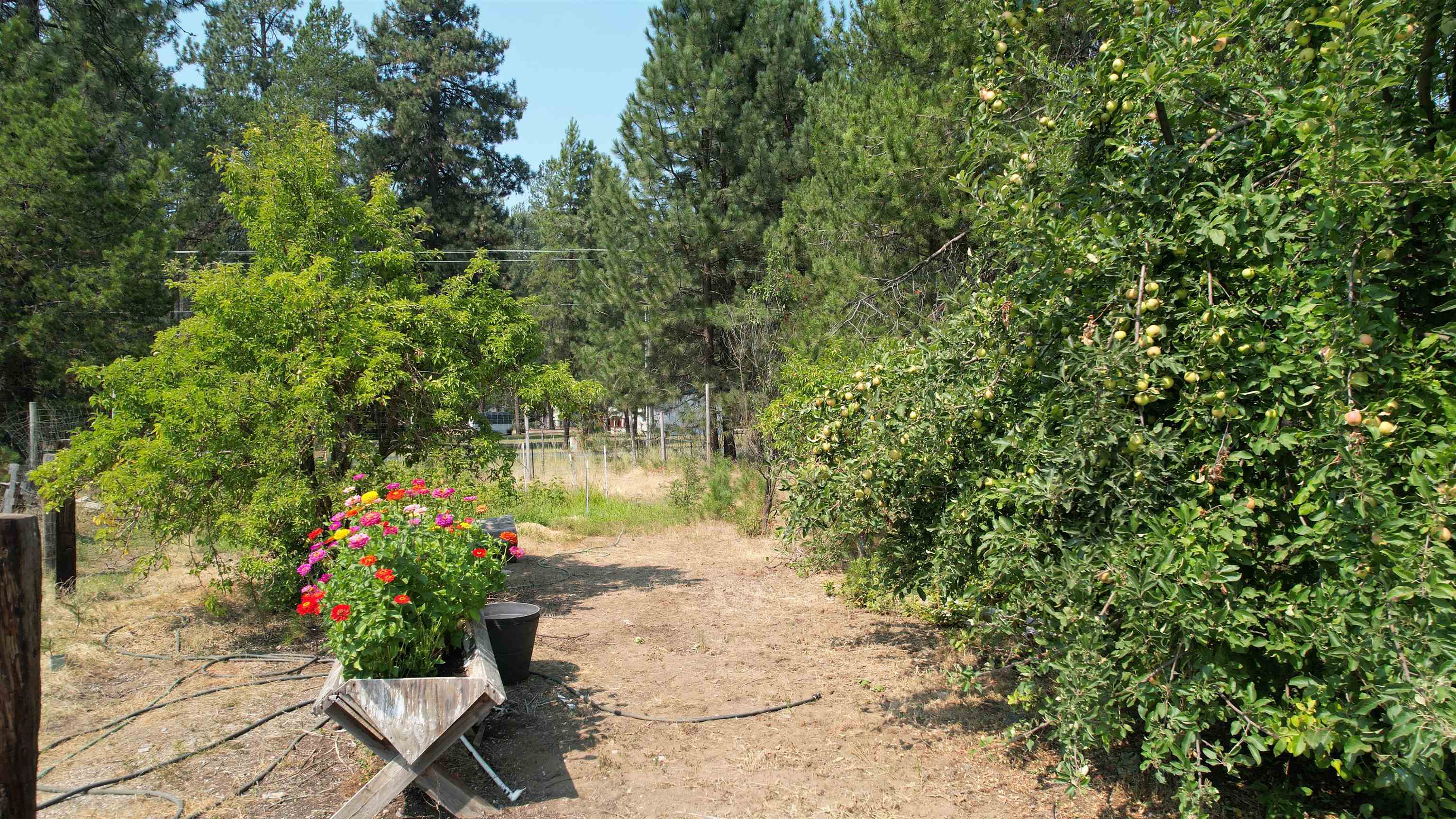 4067 Pine Meadows Dr - Photo 42