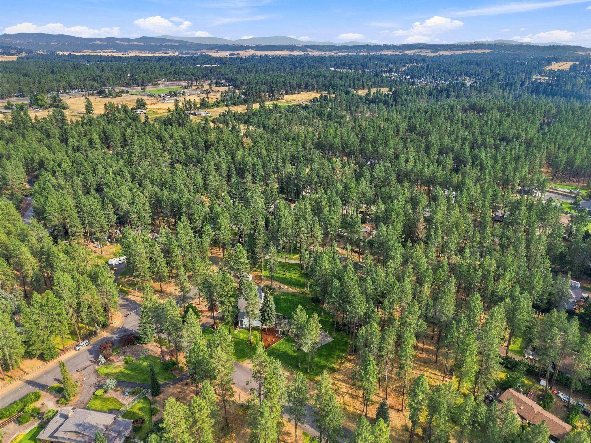 17317 N Saddle Hill Rd - Photo 43