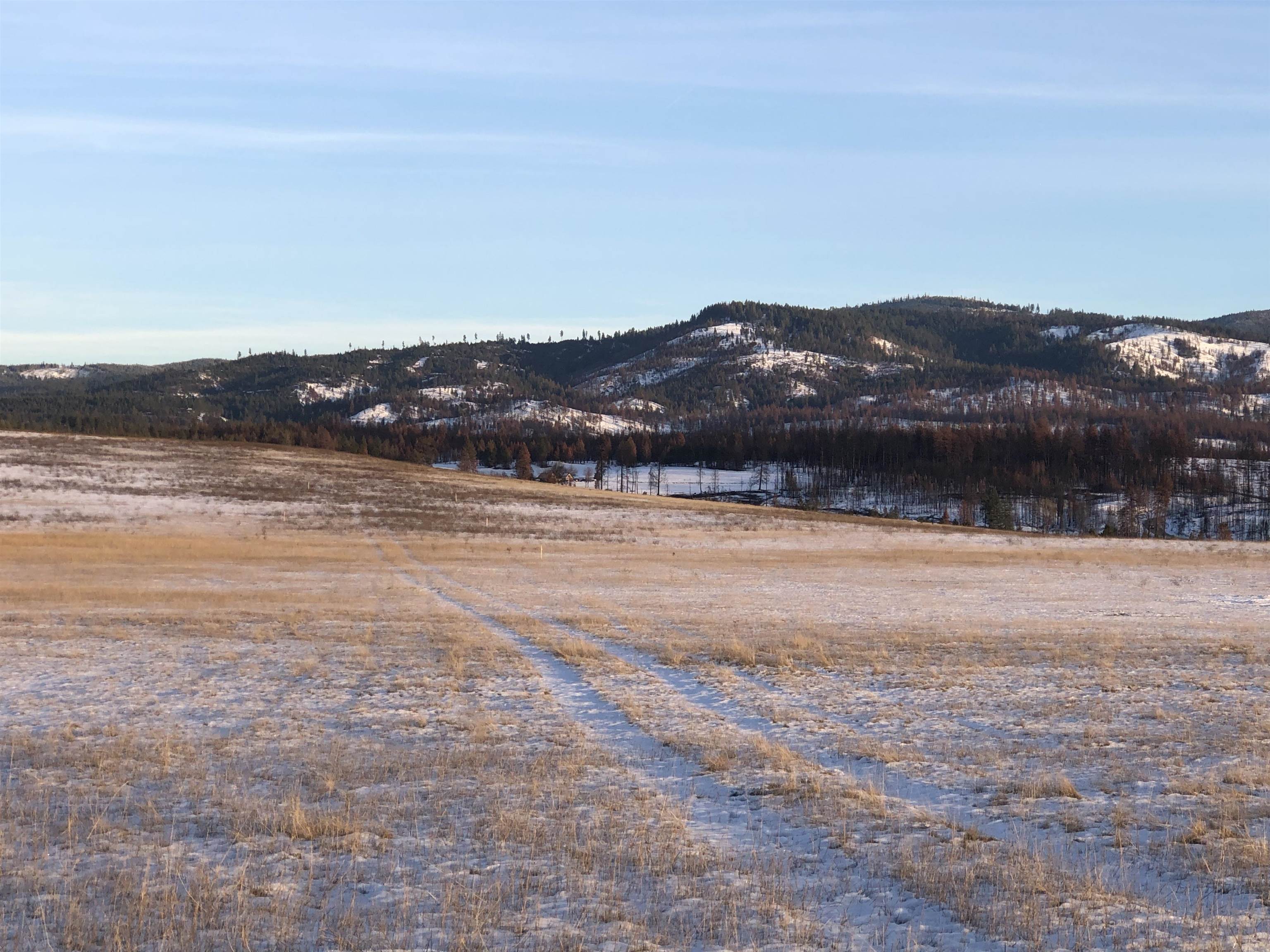 41900 N Darknell Rd - Photo 4