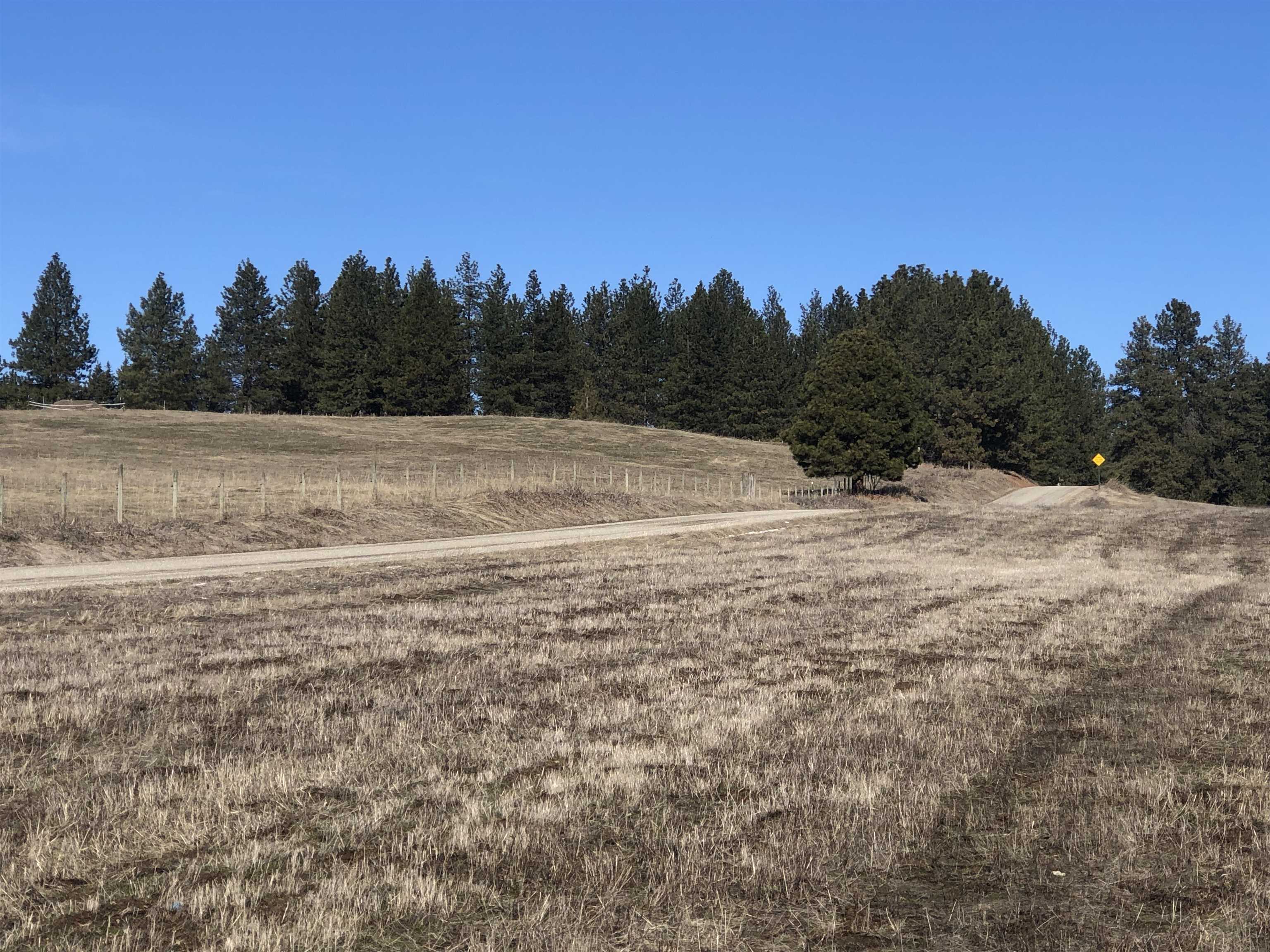 41900 N Darknell Rd - Photo 16