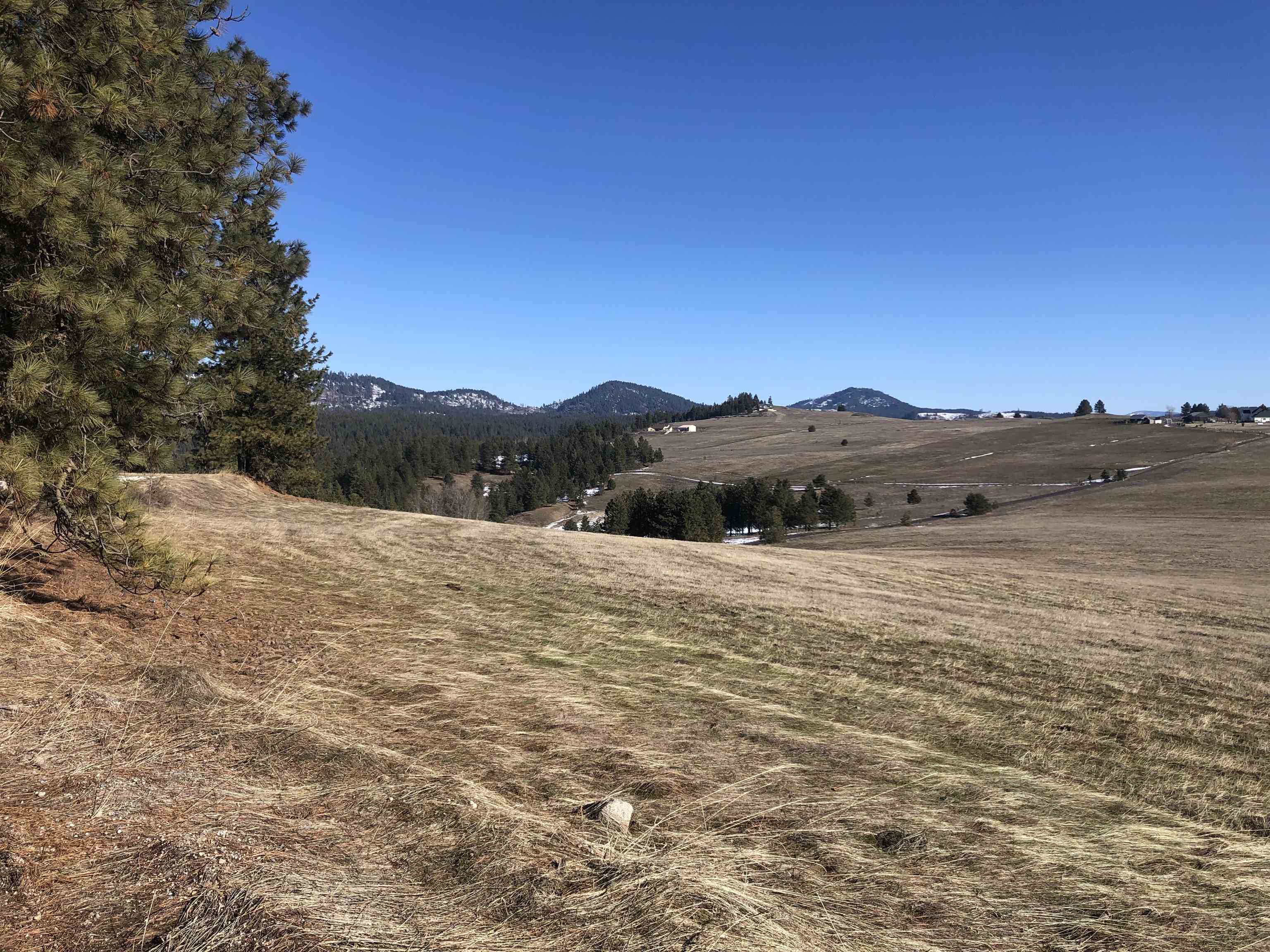 41900 N Darknell Rd - Photo 21