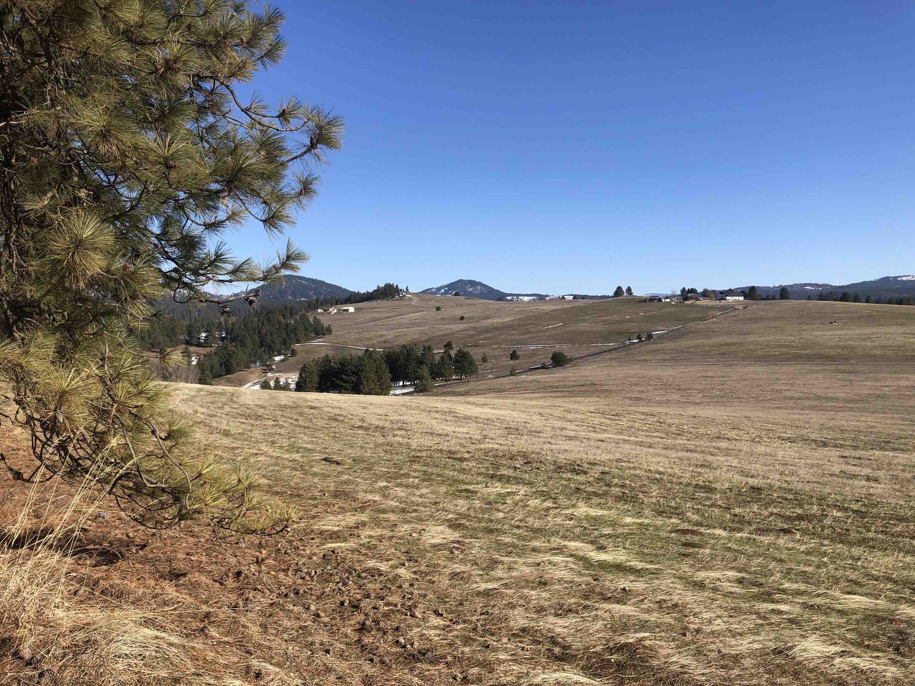 41900 N Darknell Rd - Photo 27