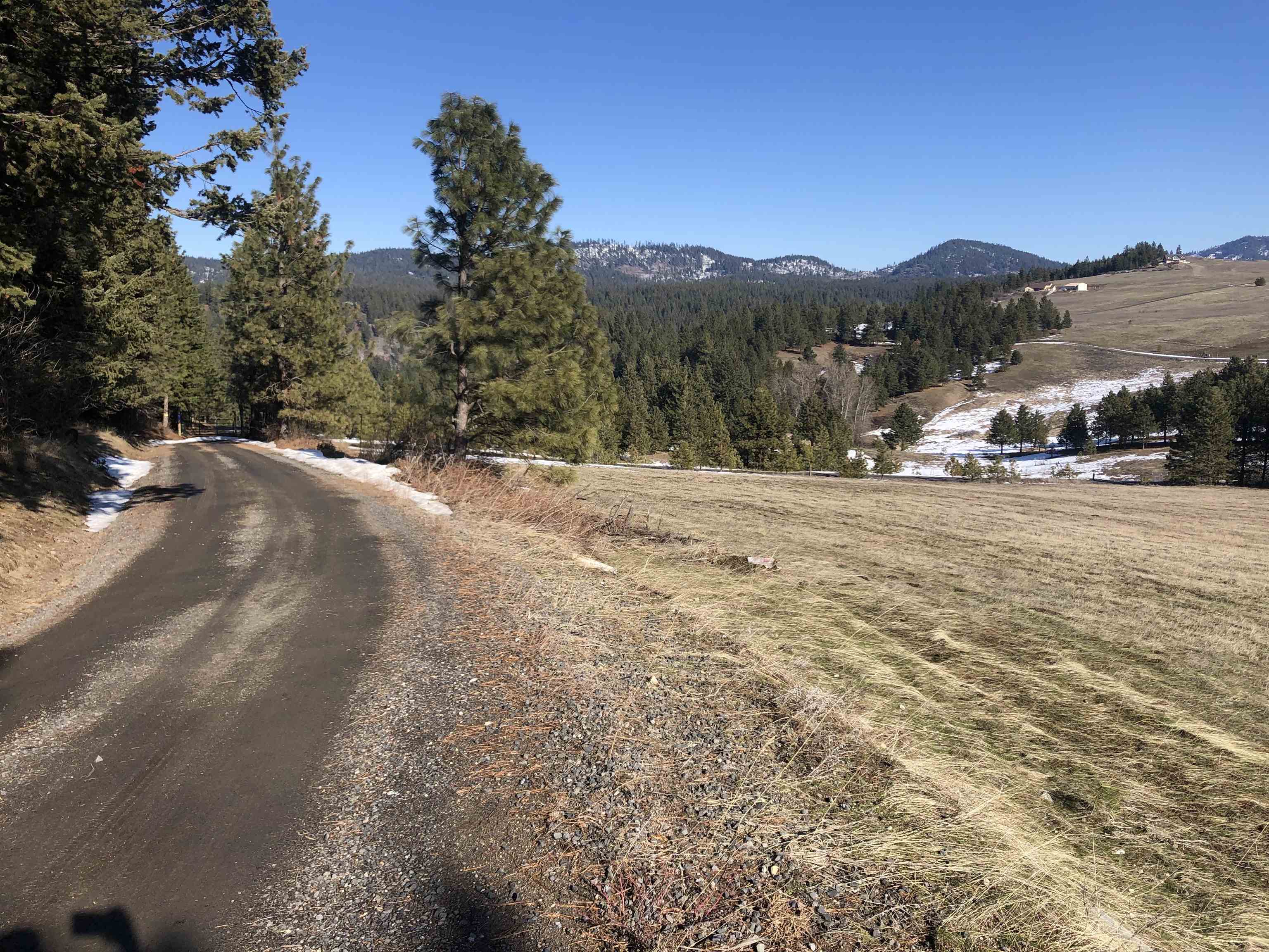 41900 N Darknell Rd - Photo 31