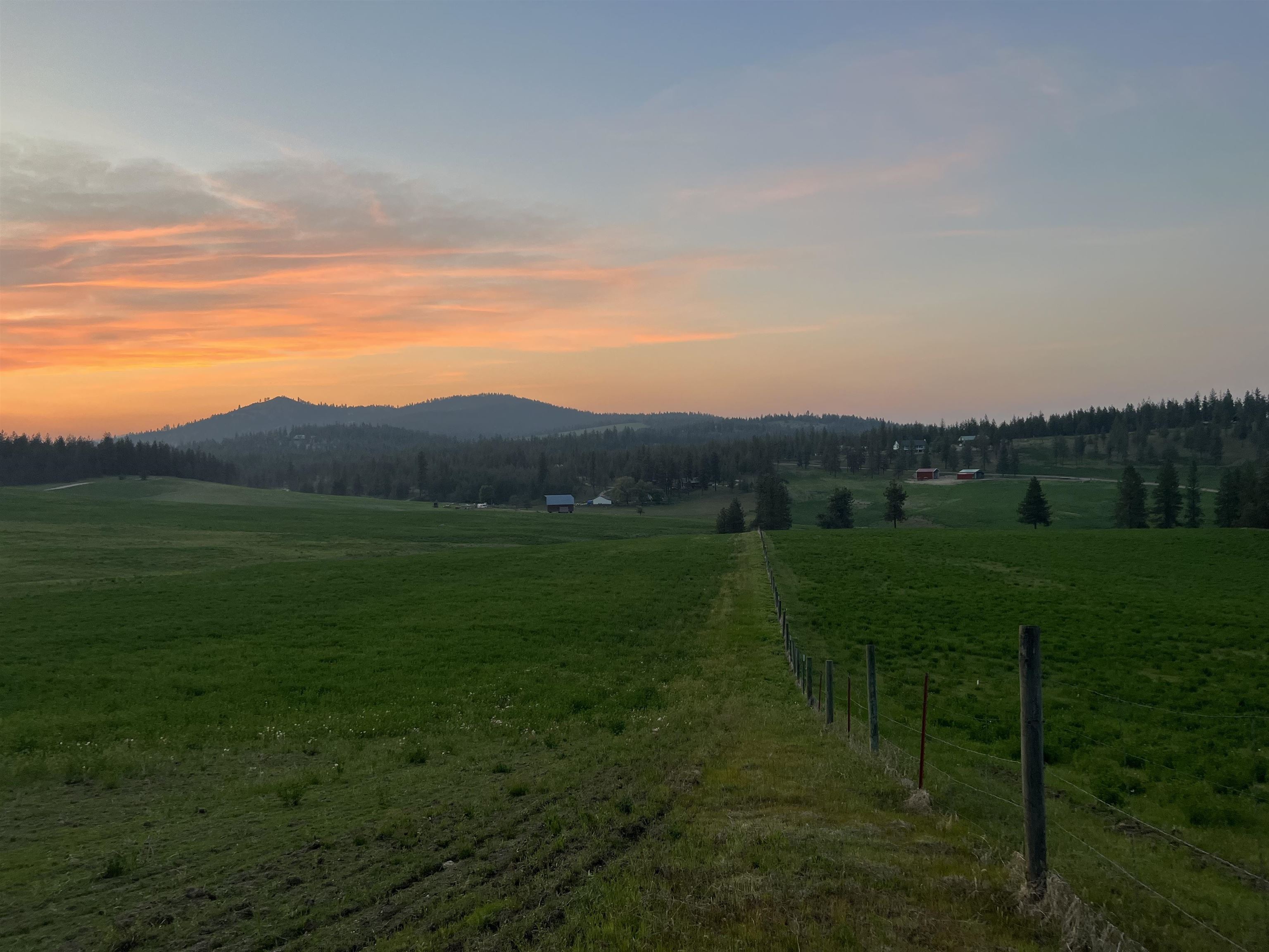 XXXX Rocky Top Way - Photo 5
