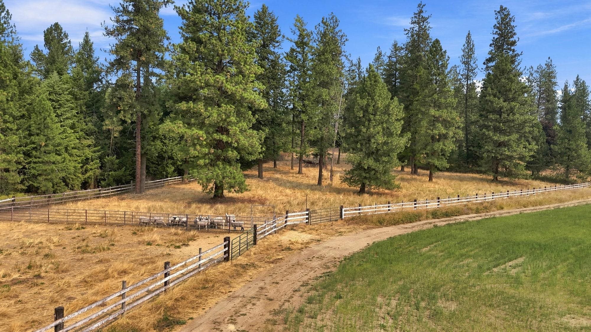 5082 S Swenson Rd - Photo 43