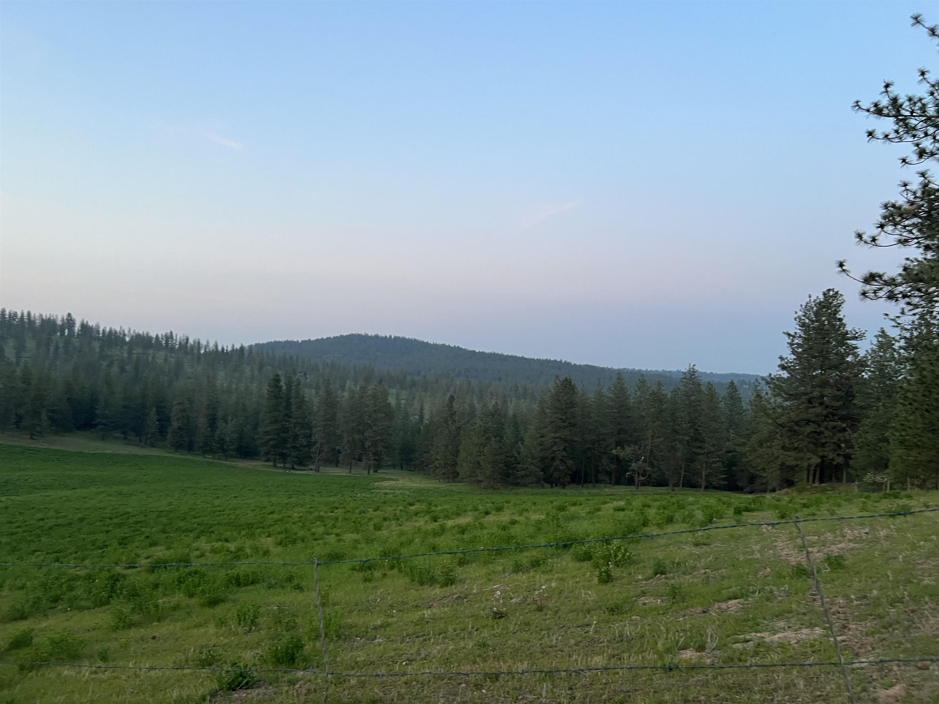 XXXX Rocky Top Way - Photo 3
