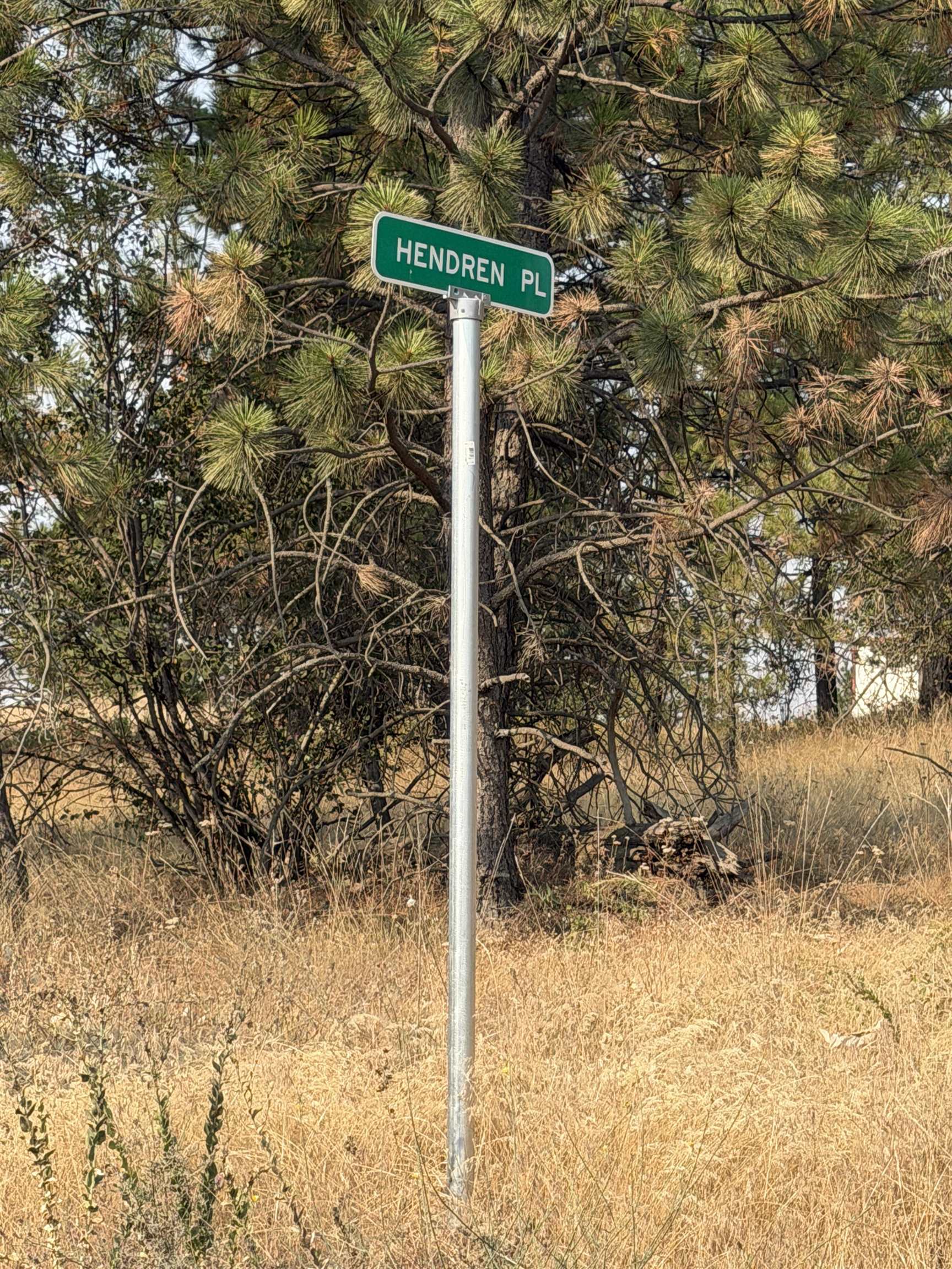 XXXX Rocky Top Way - Photo 14