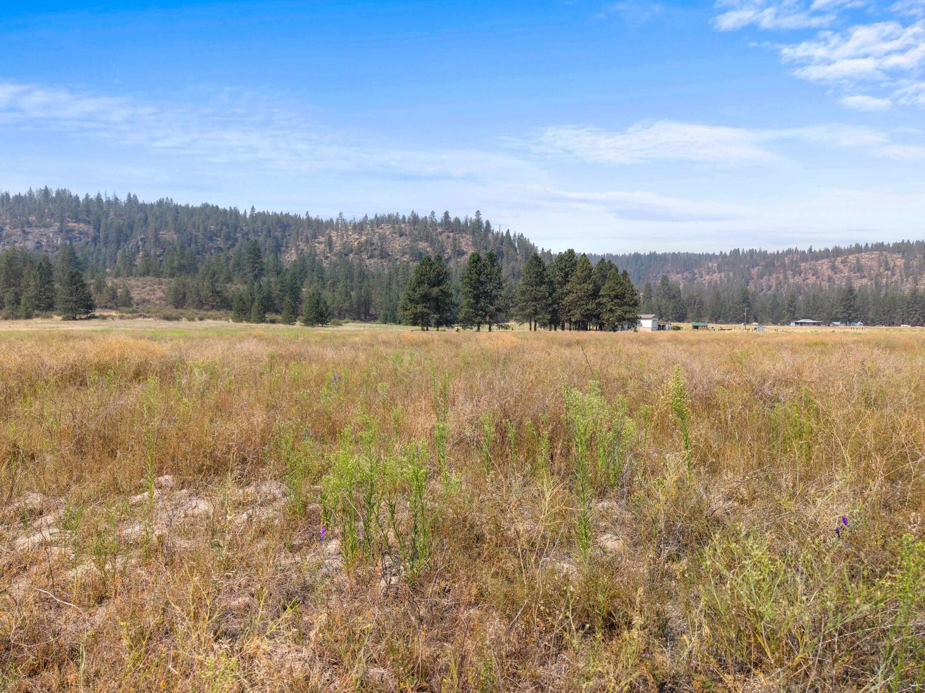 40289 N Barbara Ln - Photo 5